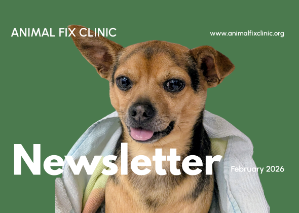 What it takes to add one more day of surgery