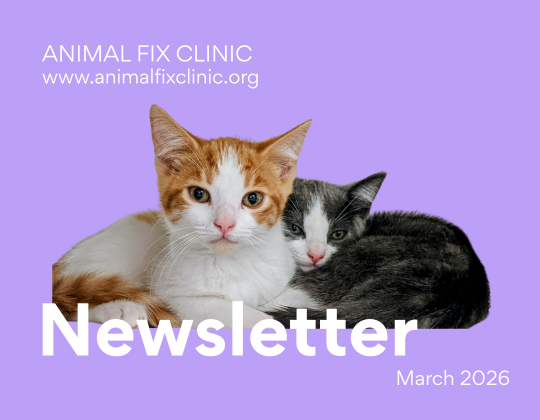 The Kittens You Don’t See