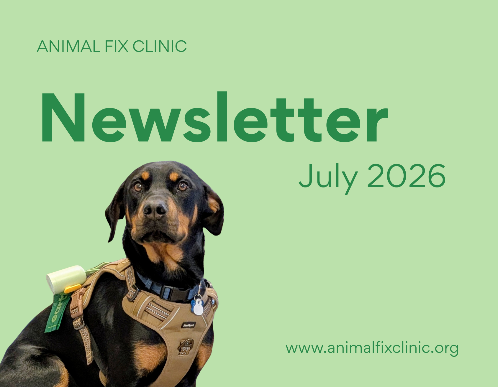 Who’s on our surgery schedule? 