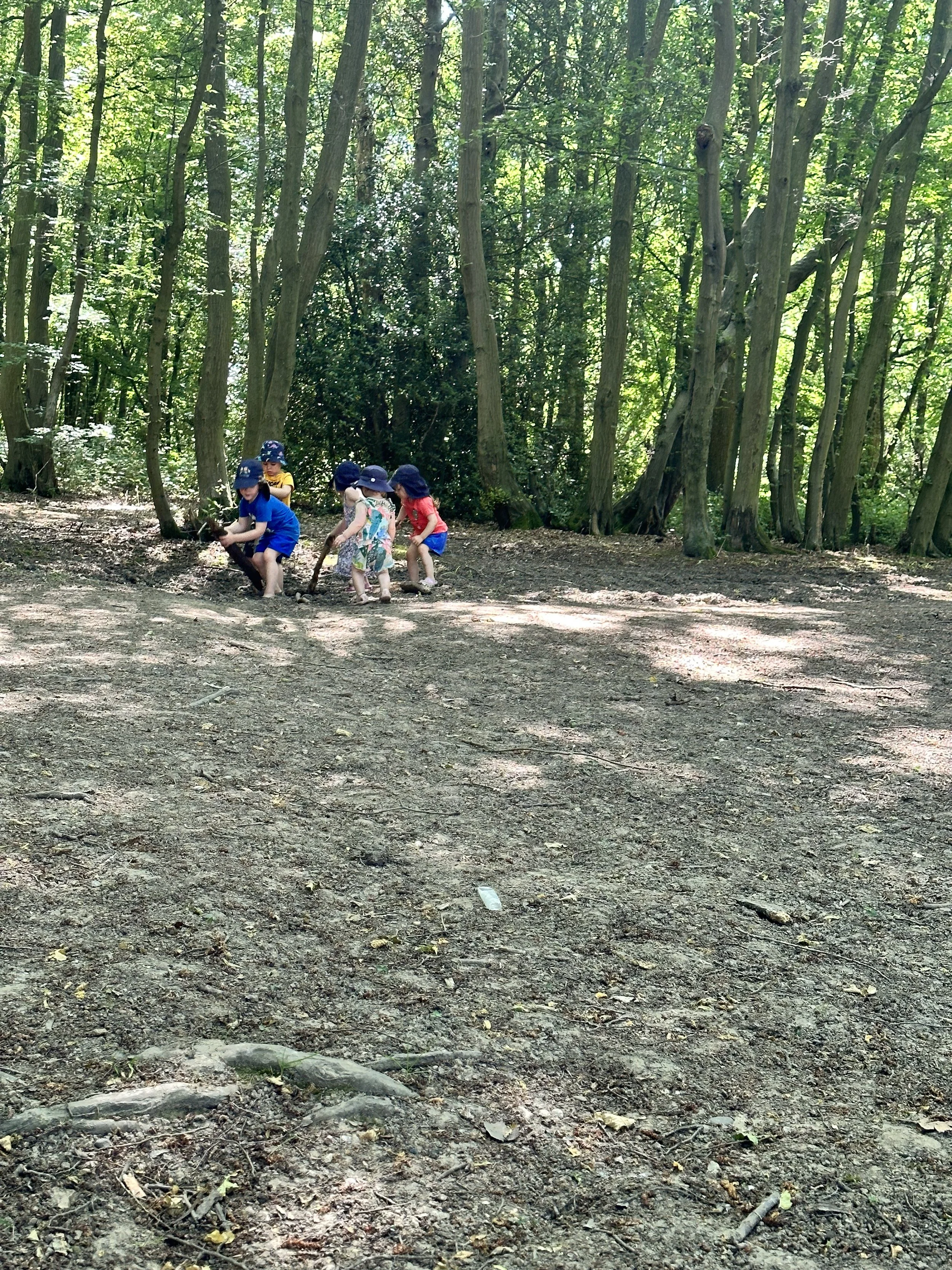 A Morning in the Woods 🌳 