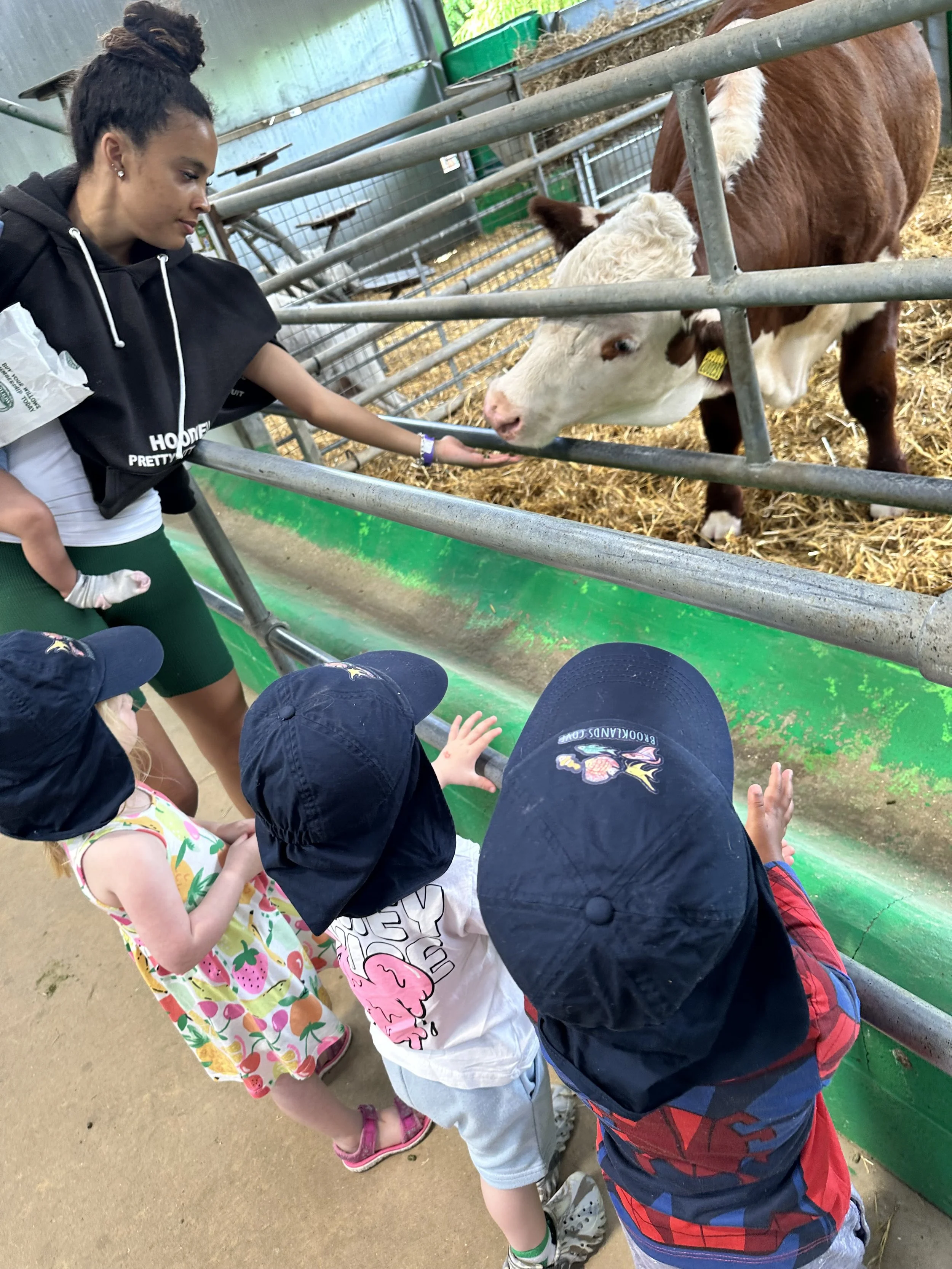 🐇🫏🐄🐖🦙🐑🐐 