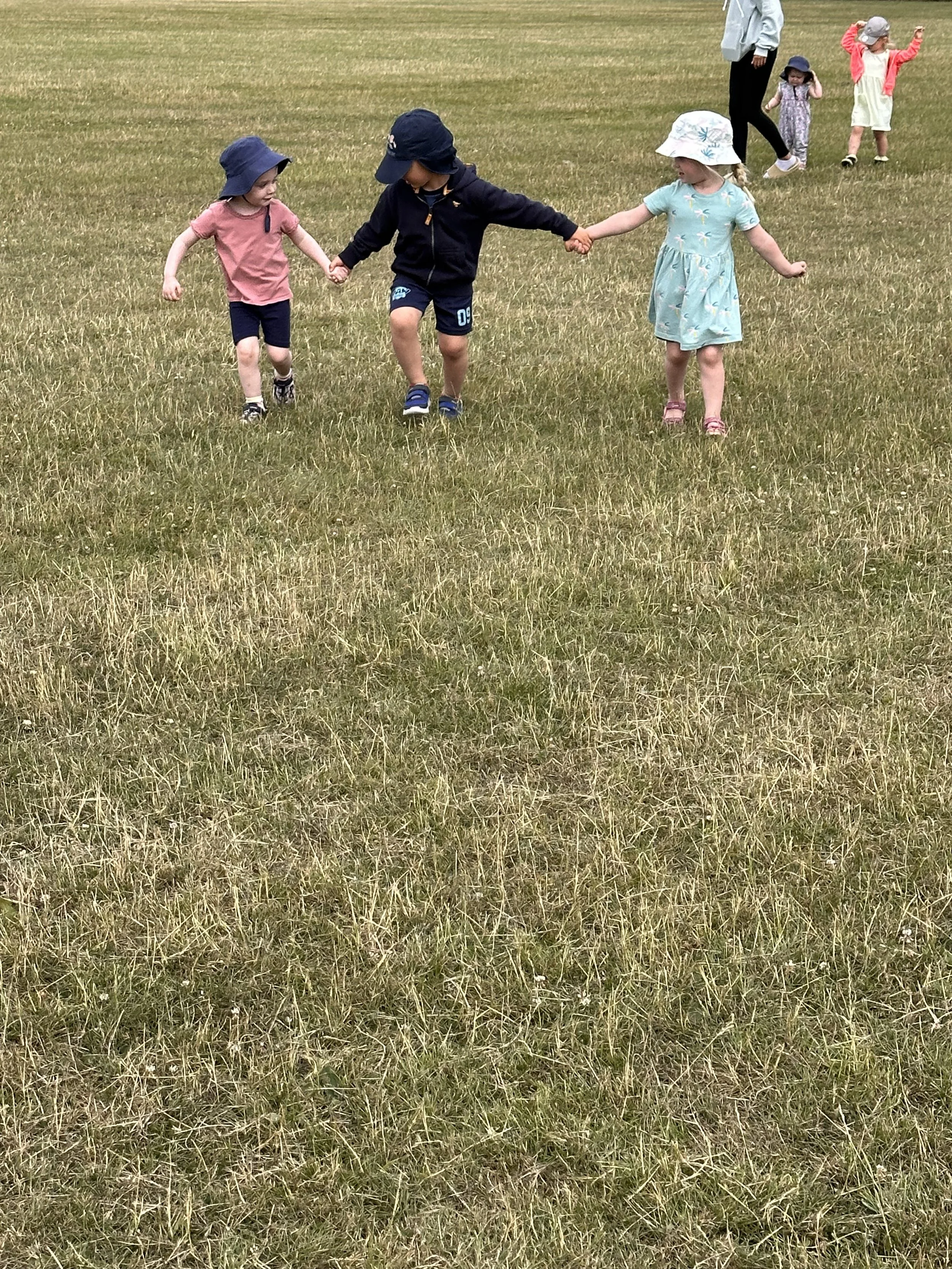 New Nursery Field 🌾