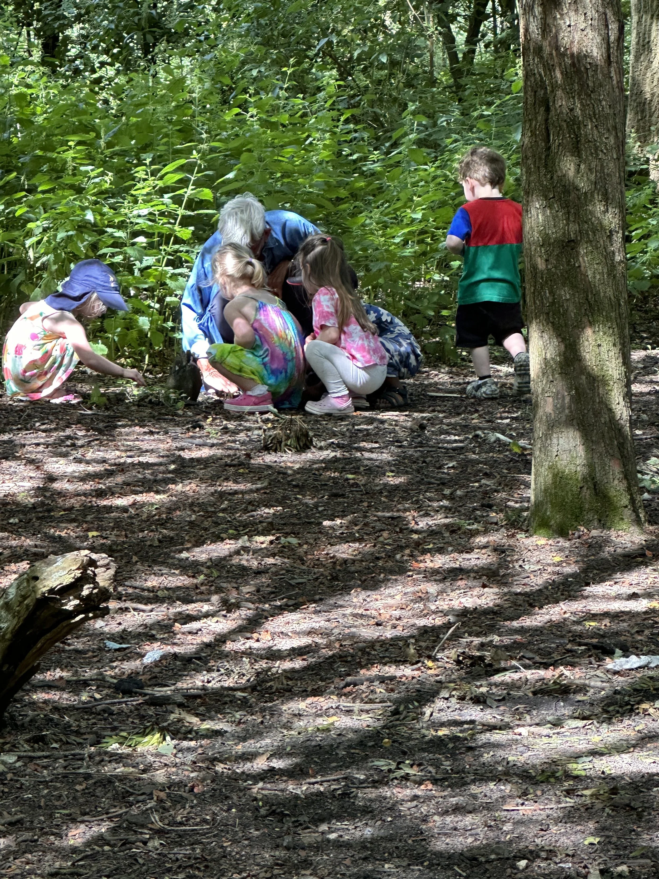 More Fun at the Train Field! 🚊 
