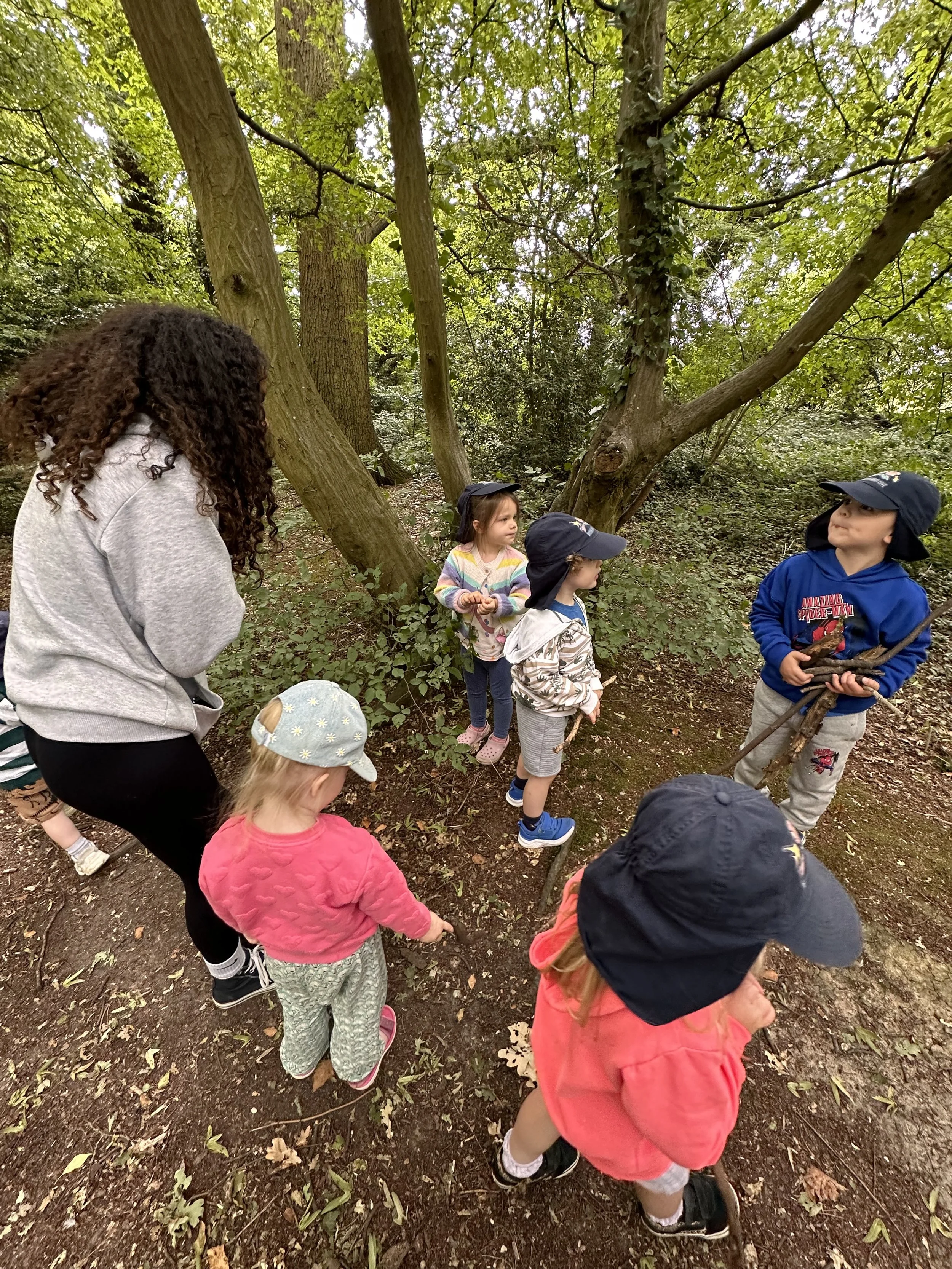 If you go down to the woods today…