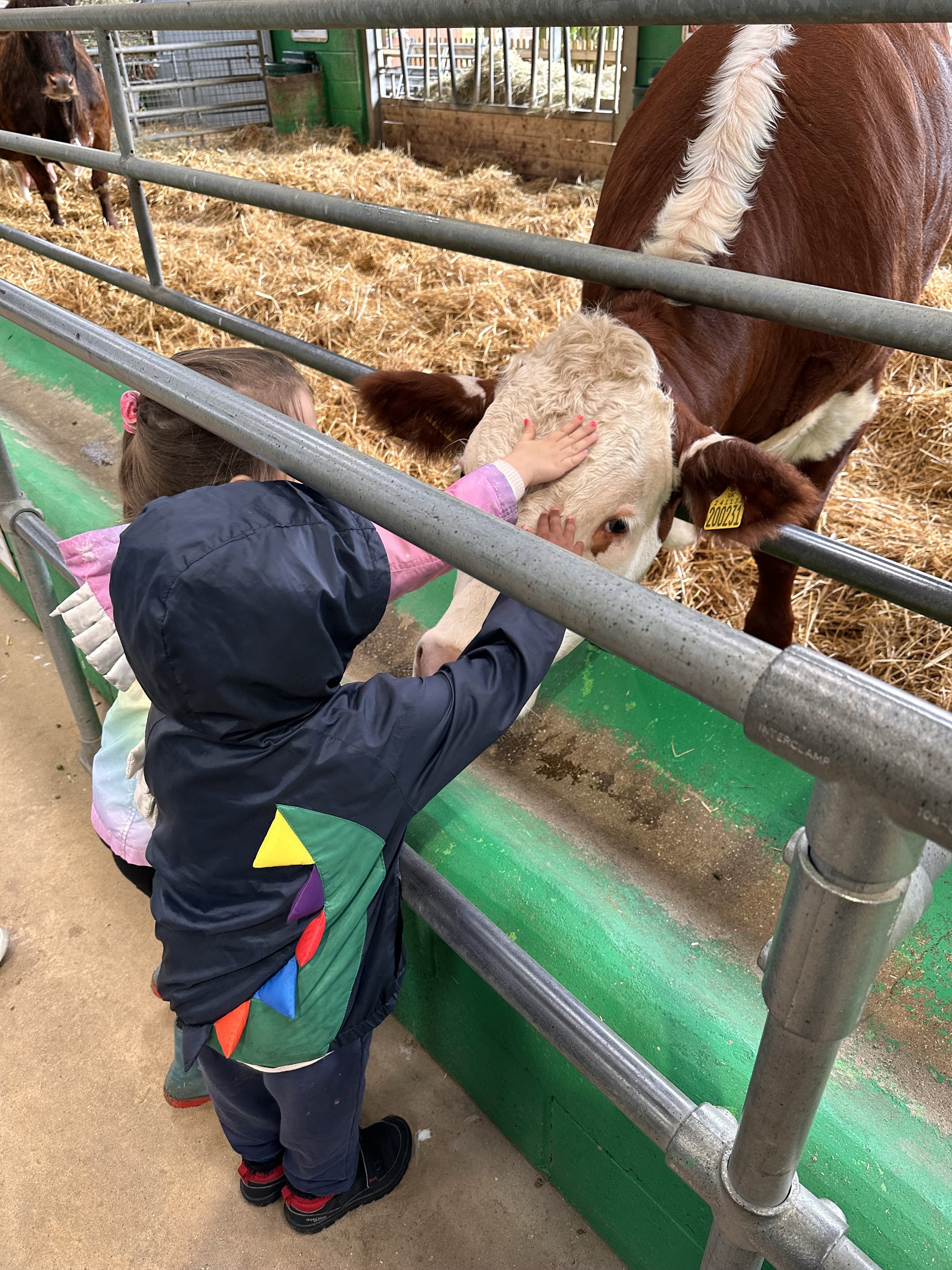 A Very Busy Morning at the Farm!