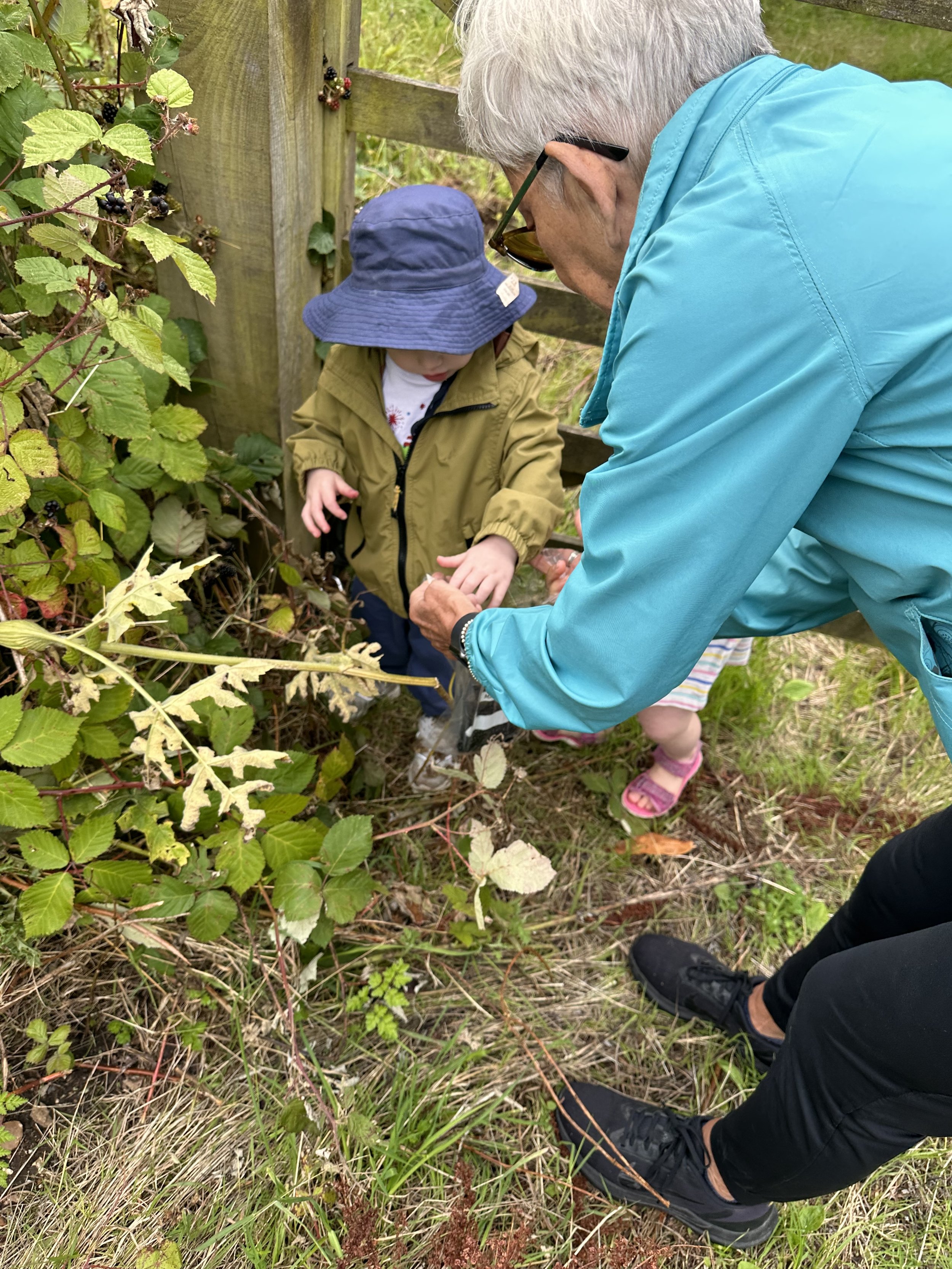 Blackberry Picking 💜