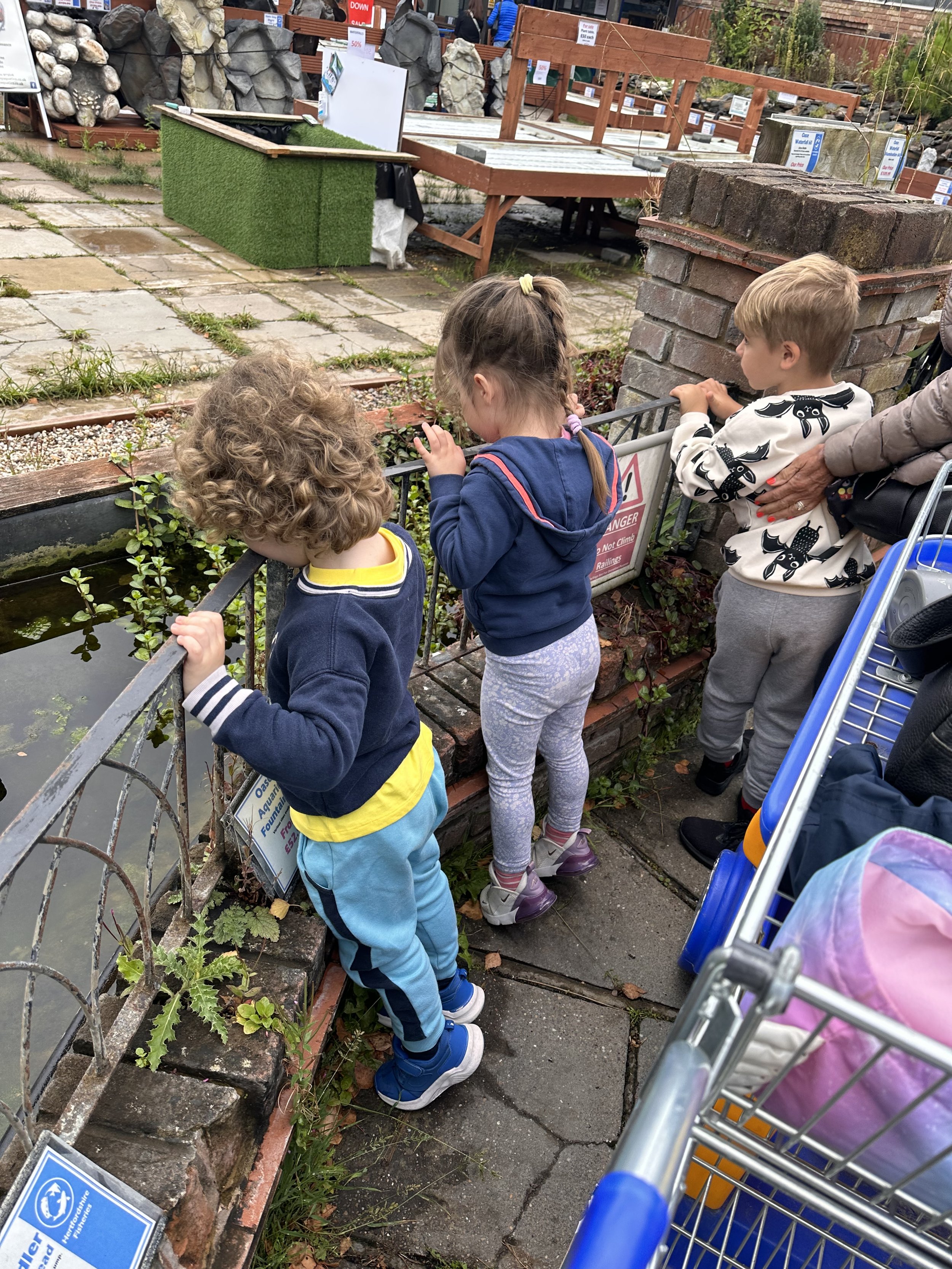 Feeding Fish 🐠 🐟 🐍 