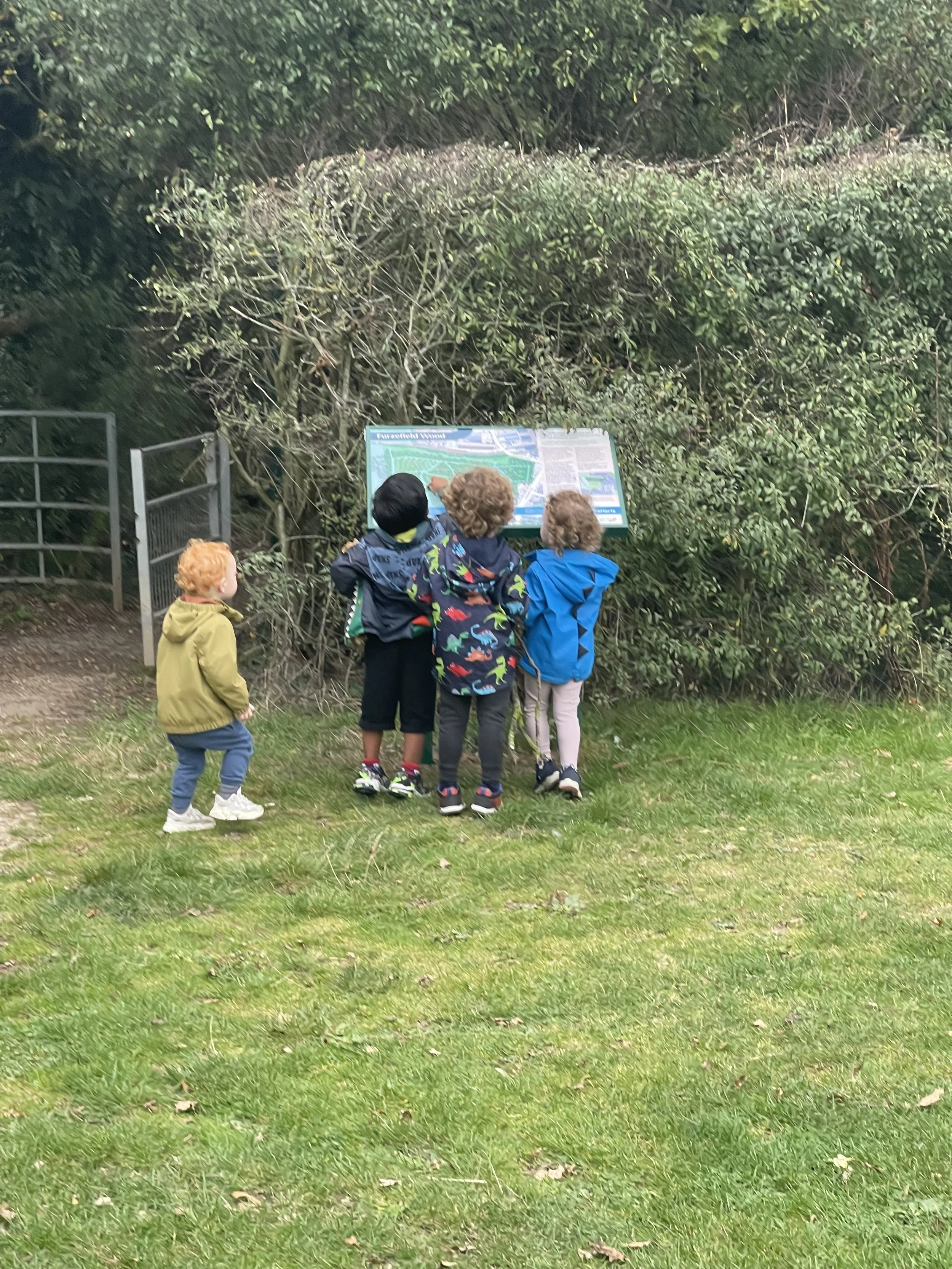 Woodland Adventures 🍂 