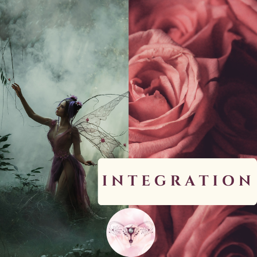 INTEGRATION