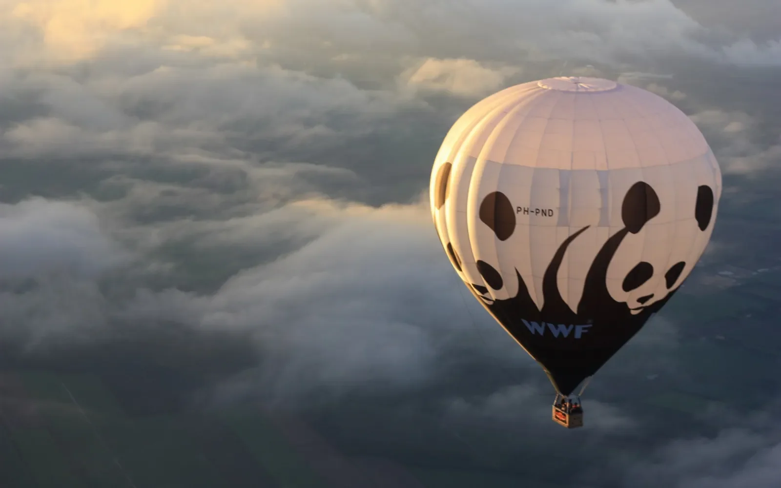 Masterarbeit zum Datenraum Umwelt: Mehr Open Data beim WWF