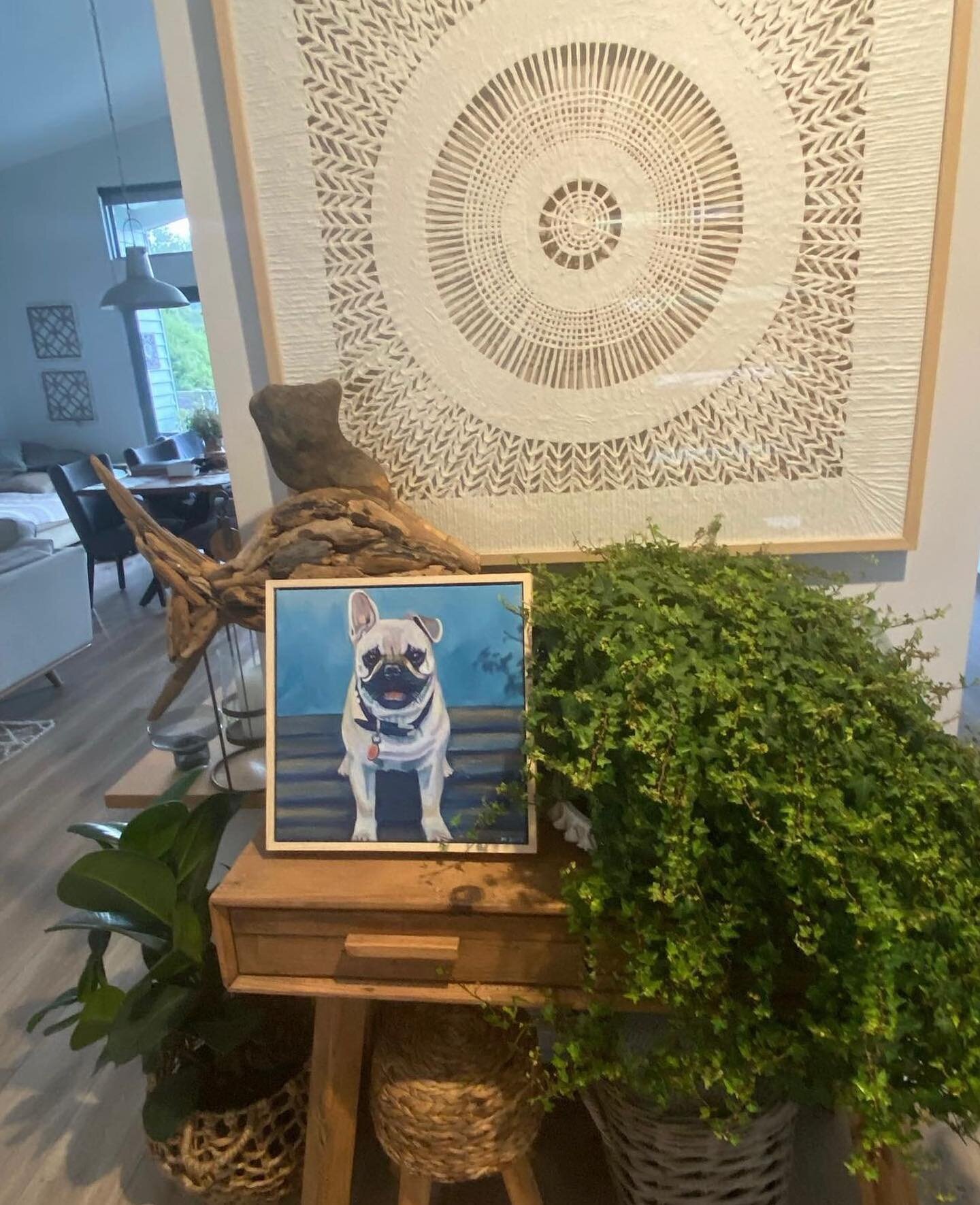 I just love love love seeing where my paintings end up in their forever homes. Makes it feel very special. Look at the beautiful space this artwork gets to live in! #petportrait #chloemazzart #chloemazzitelliart
