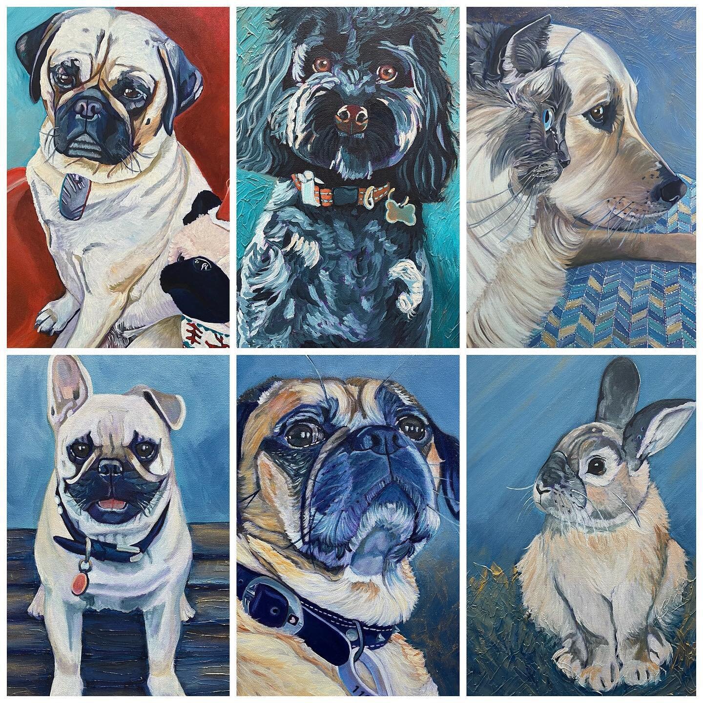 Some of the wonderful pets I have captured this year so far. Once you have painted someone&rsquo;s beloved pet, it really feels like you know them. Even though I have never actually met these beautiful animals. Each of them now has a special place in
