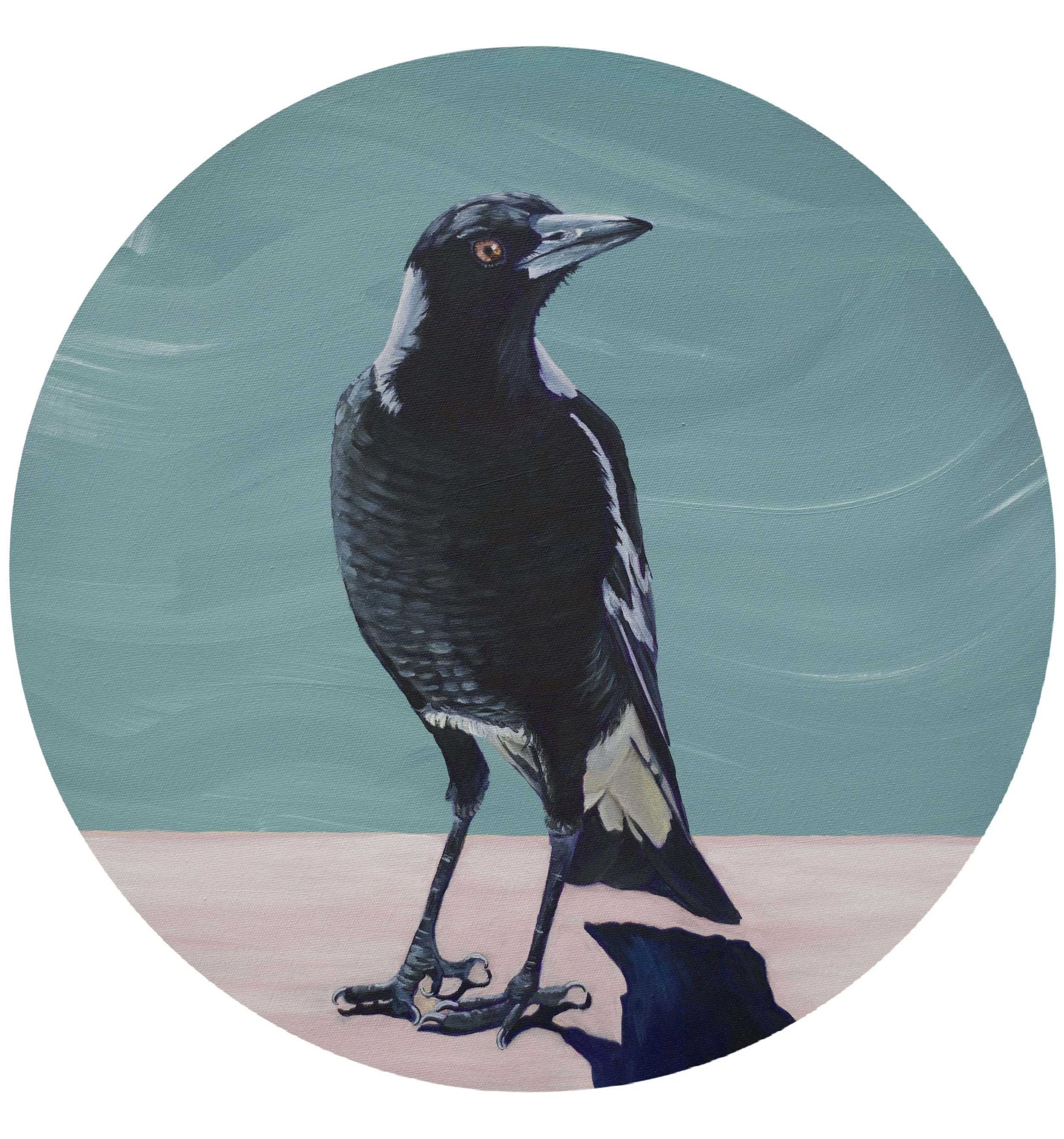 magpie in circle.jpg