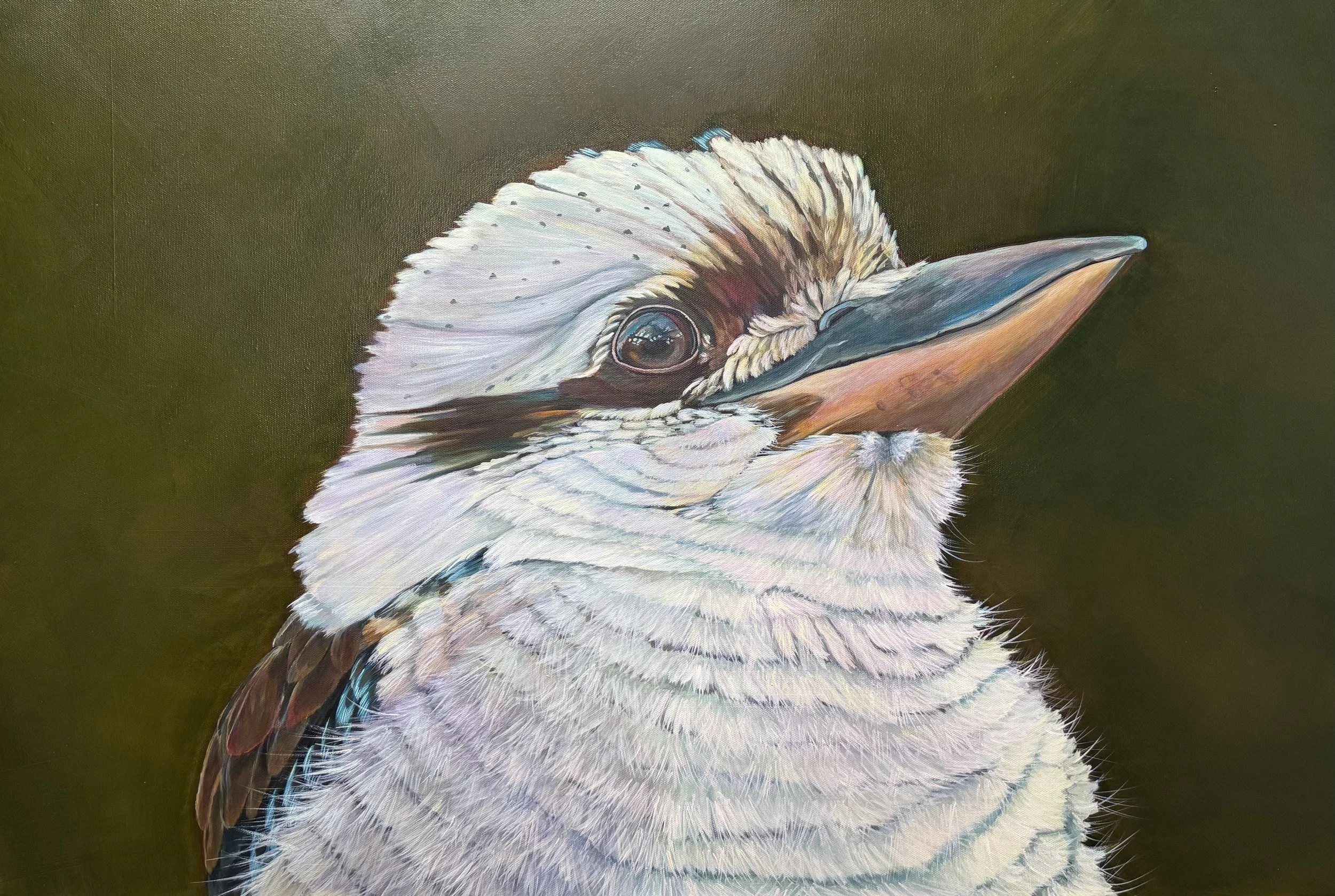 magpie (close up).jpeg