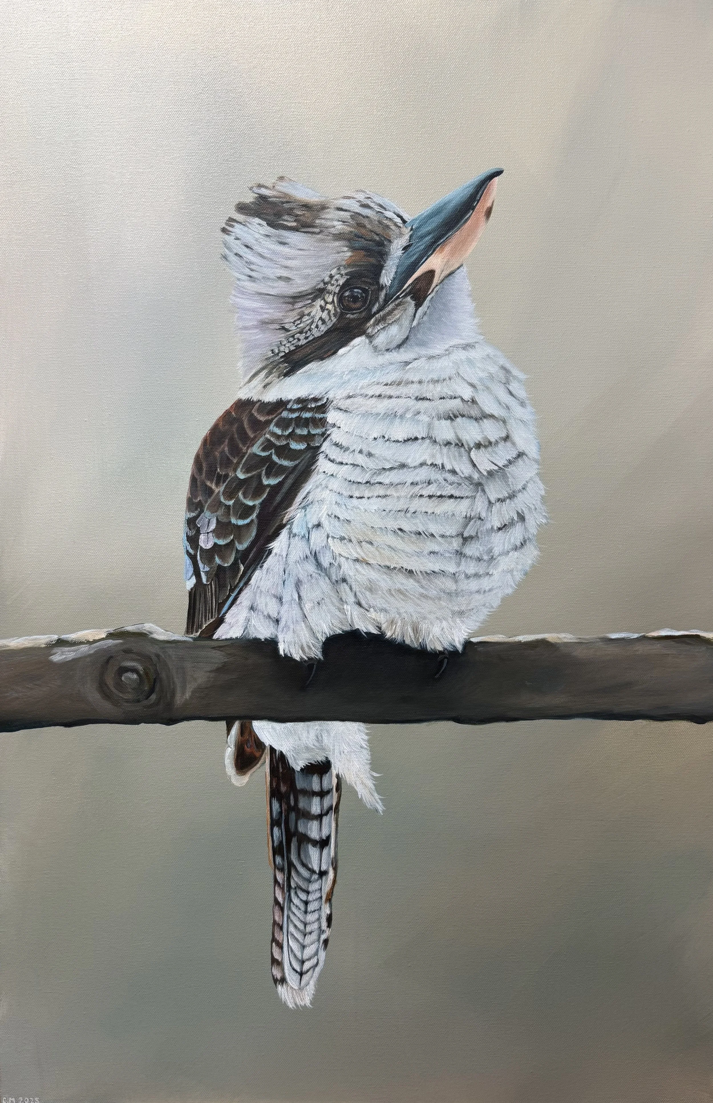 magpie on a branch.jpeg