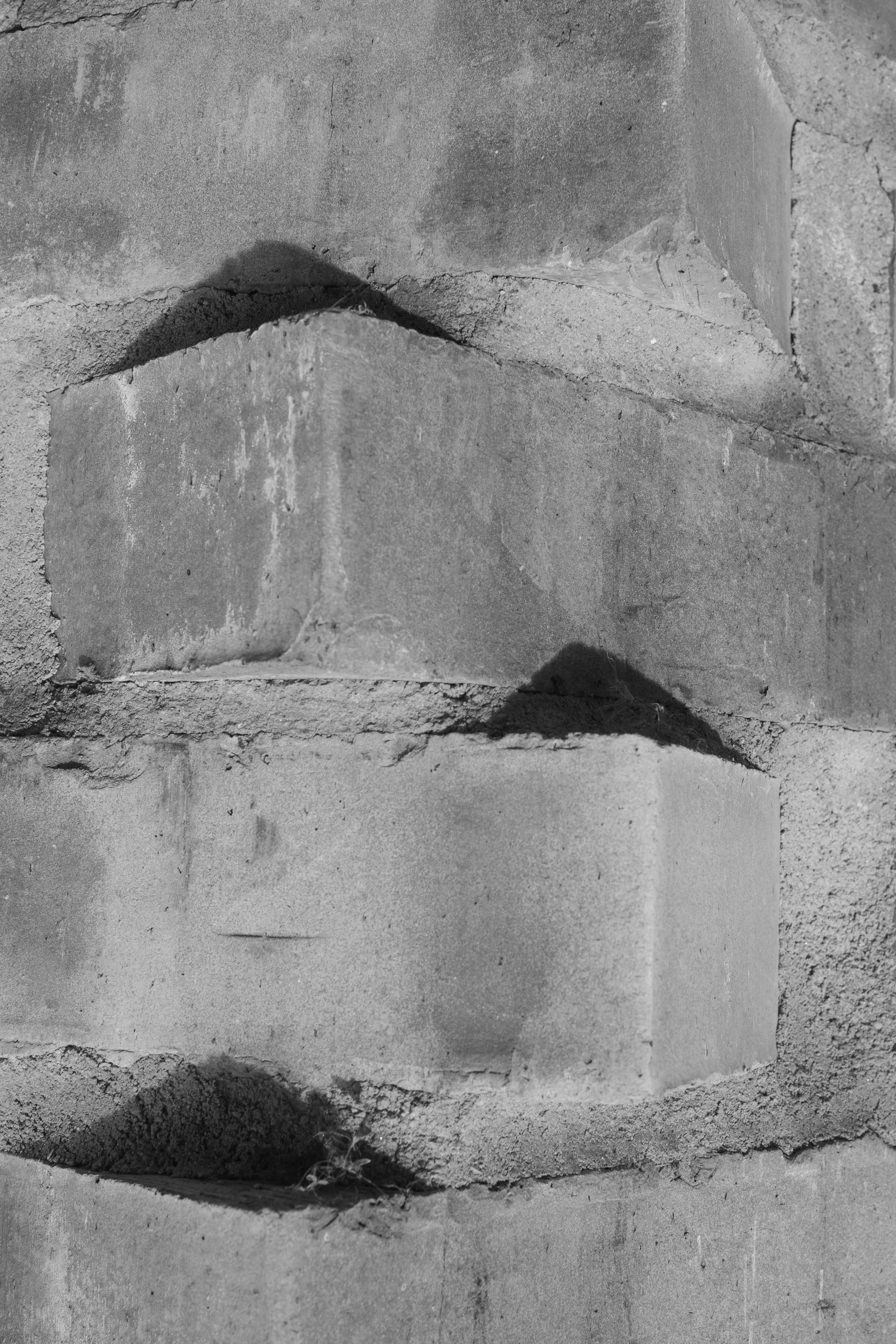 P4080024.jpg