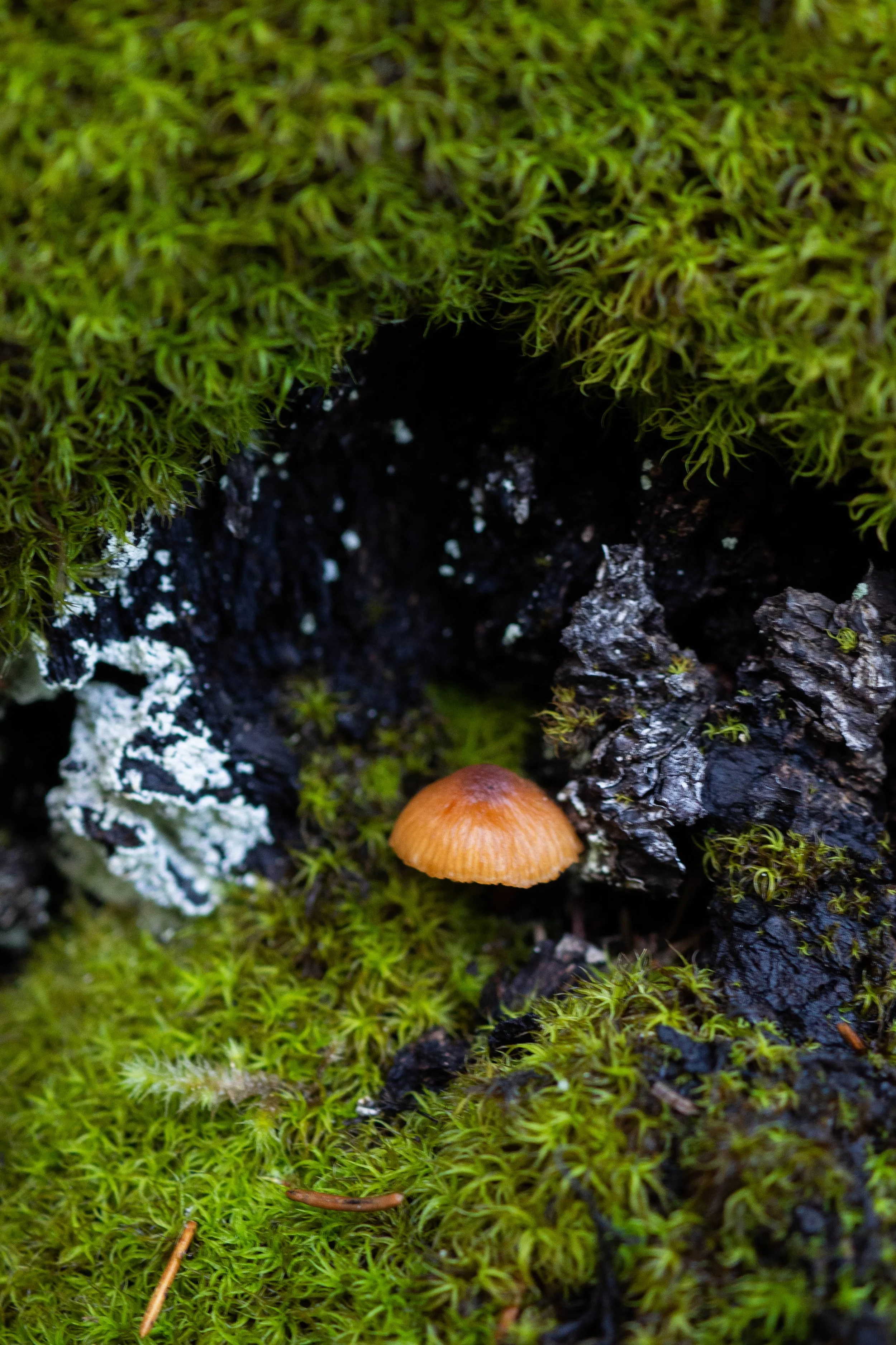 P9250016.jpg