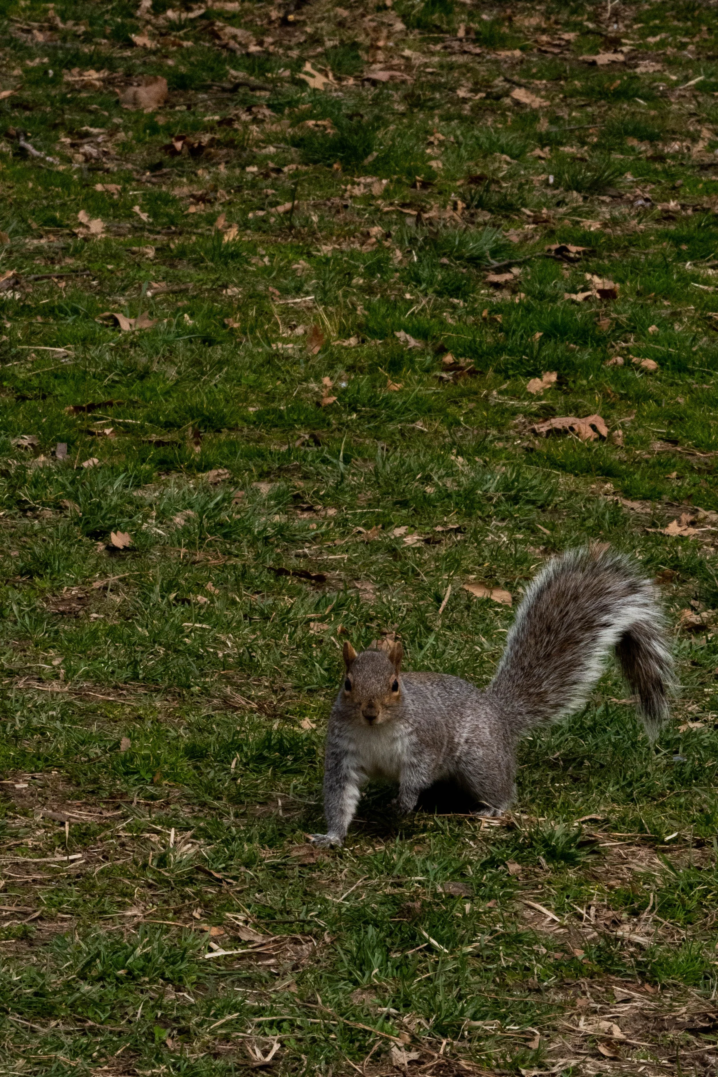 P3170105.jpg