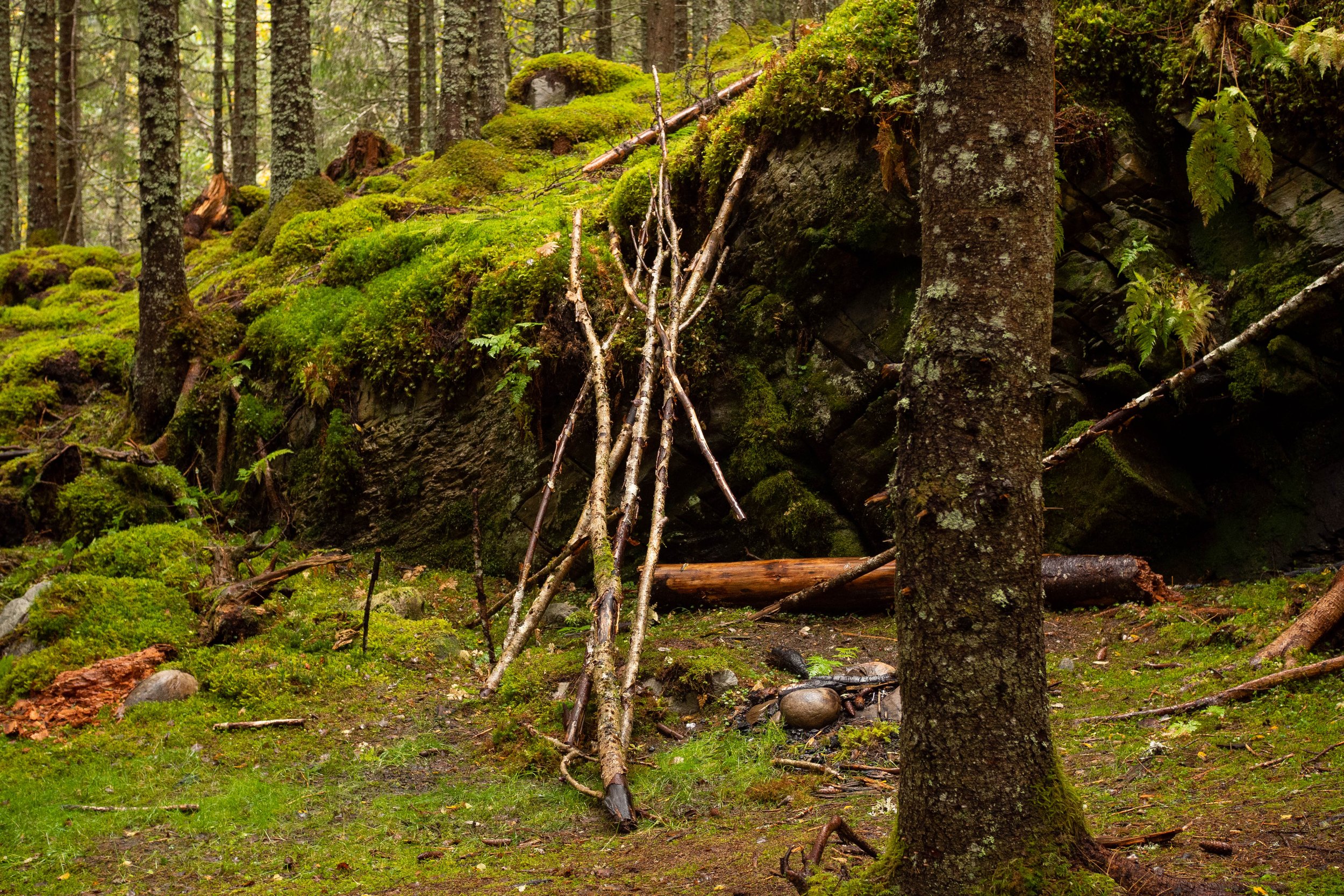 PA040173.jpg