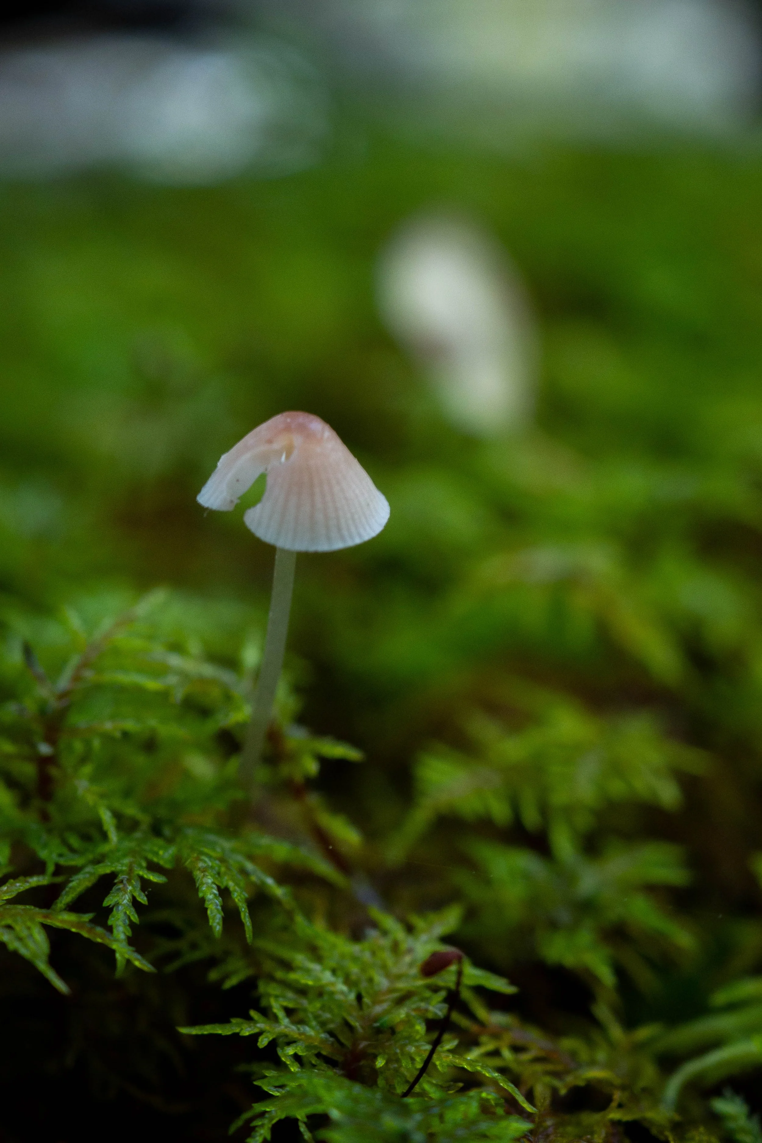P9250010.jpg