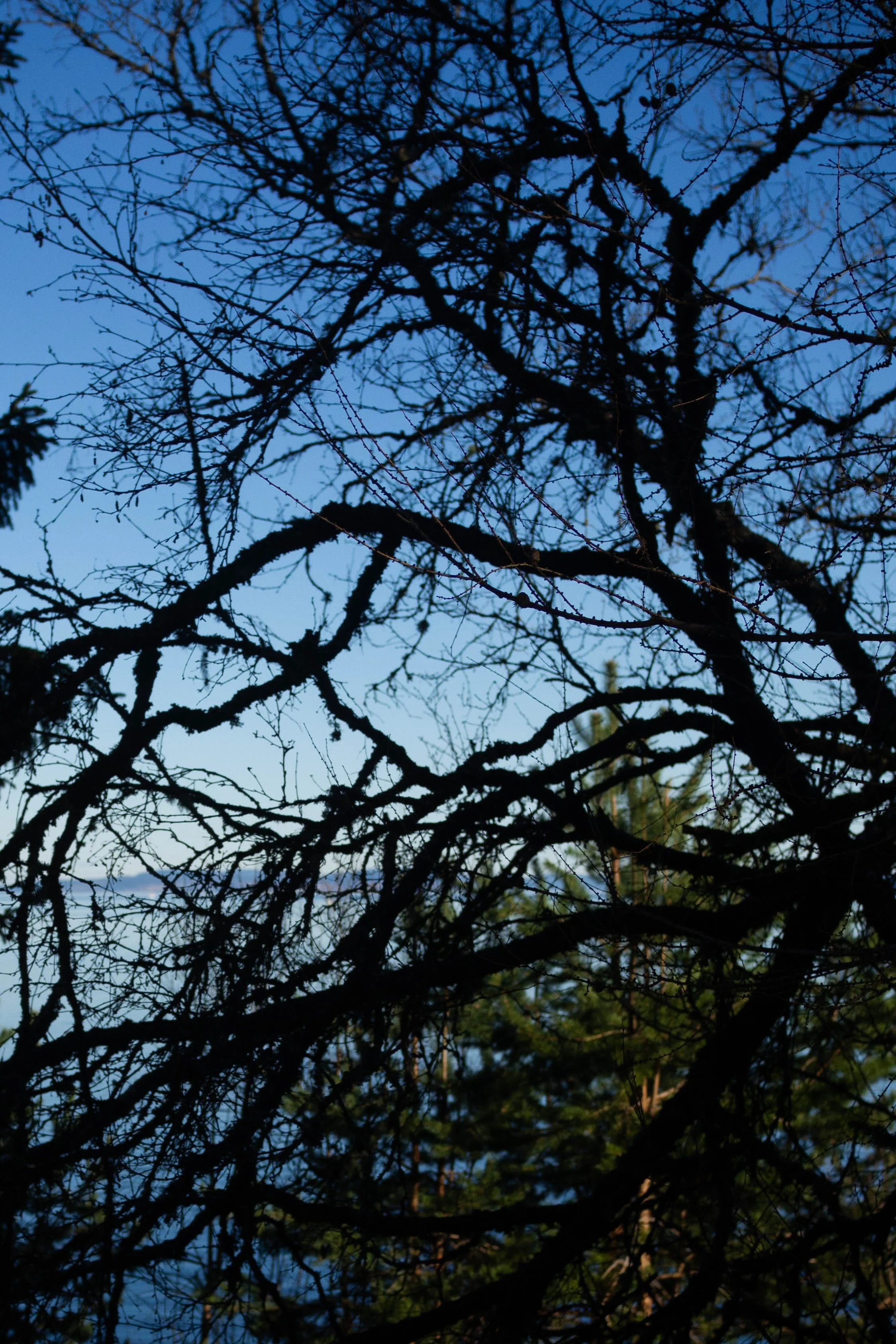 P2230052.jpg