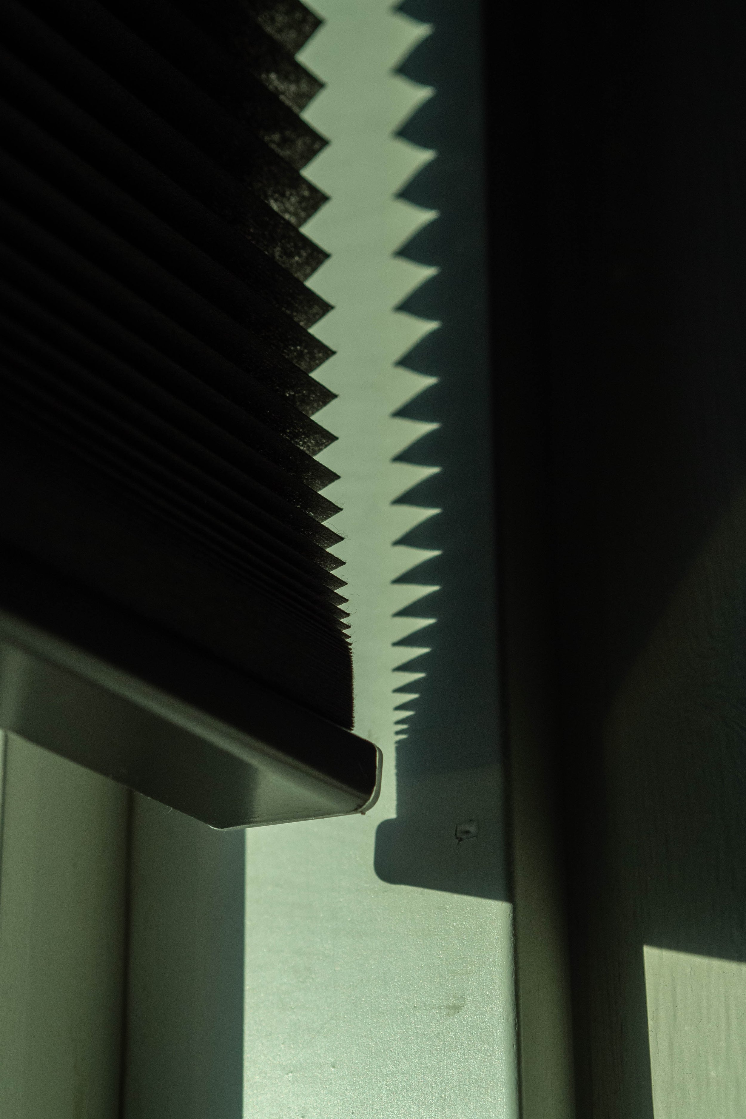 PA310001.jpg