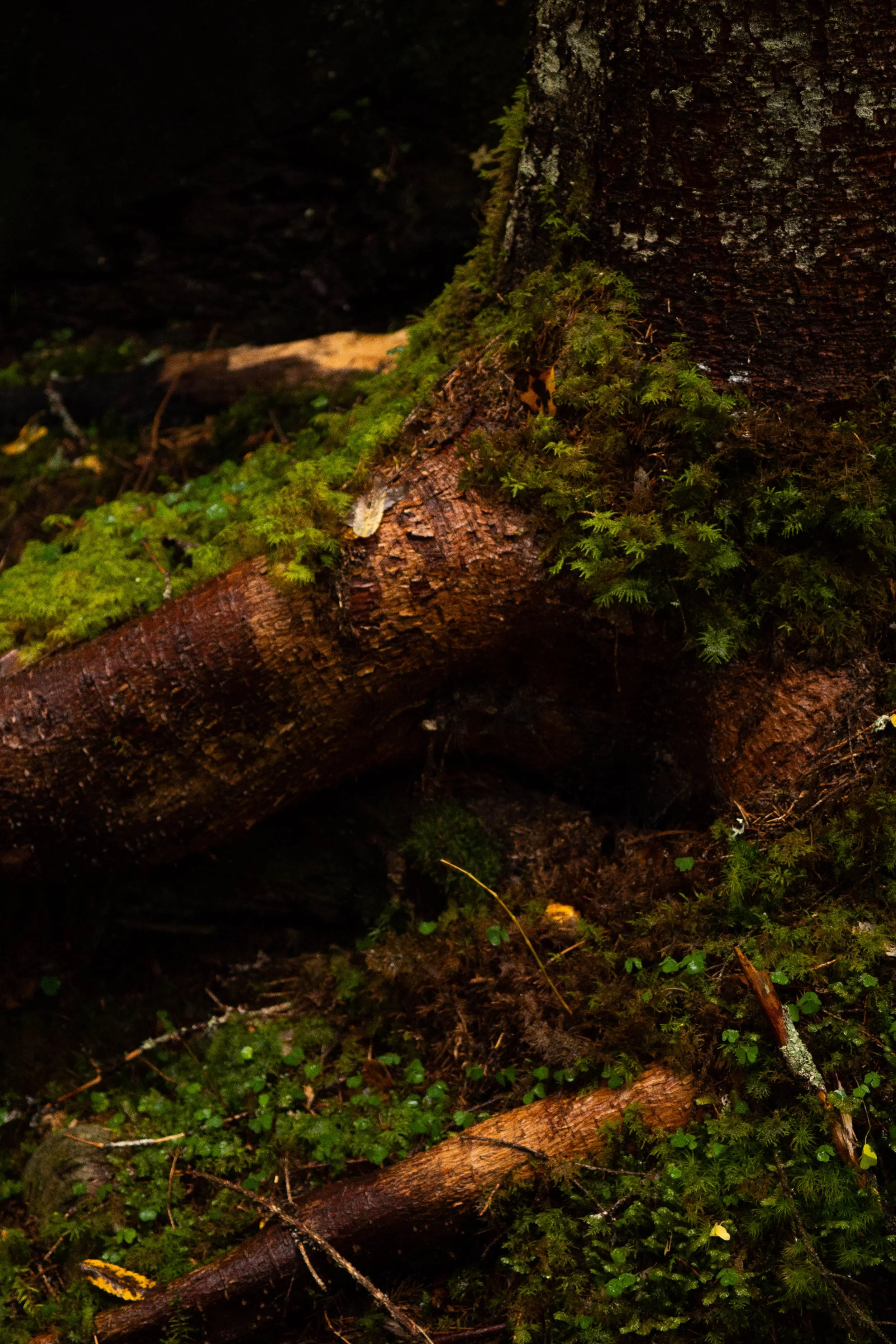 PA040177.jpg