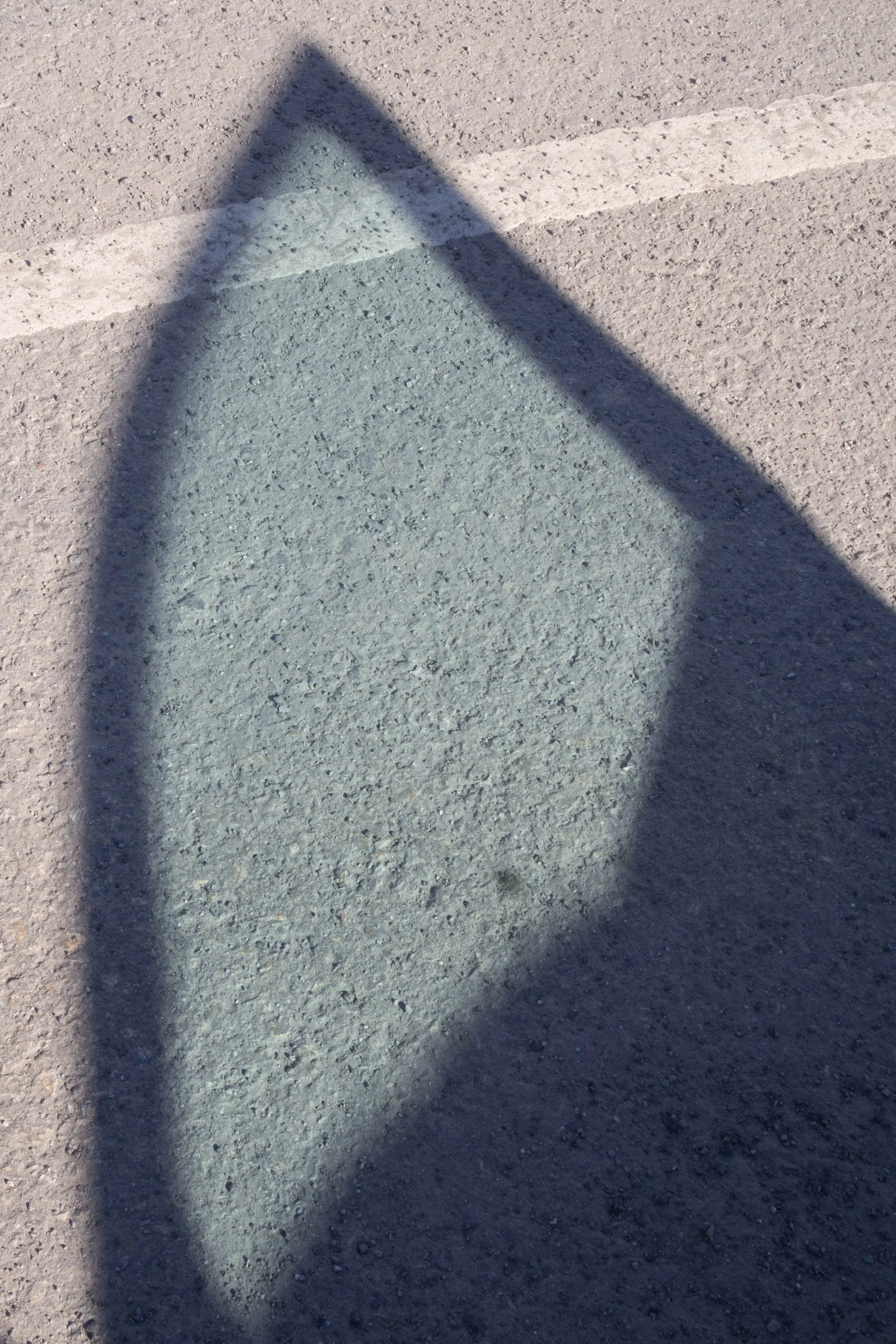P4160283.jpg