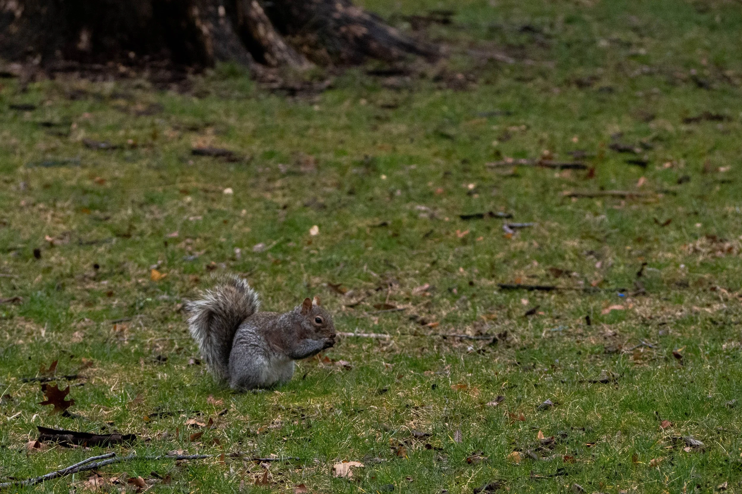P3110345.jpg