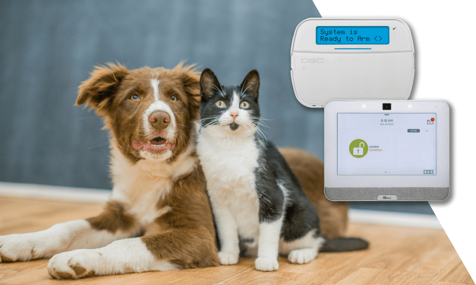 Home Alarm Systems Perth Home Alarm Installations — Watchdog Alarms