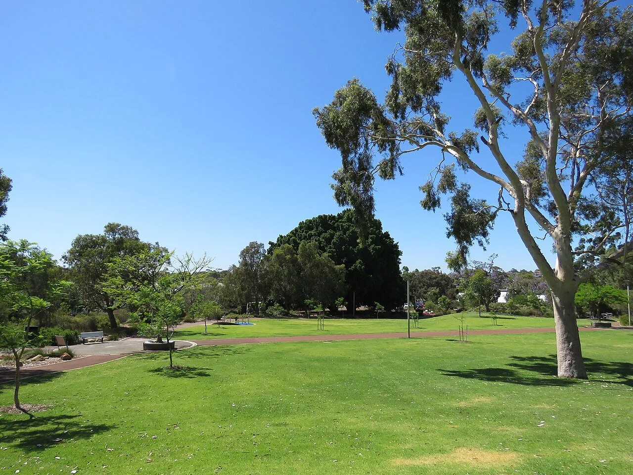 Kadidjiny Park, Melville