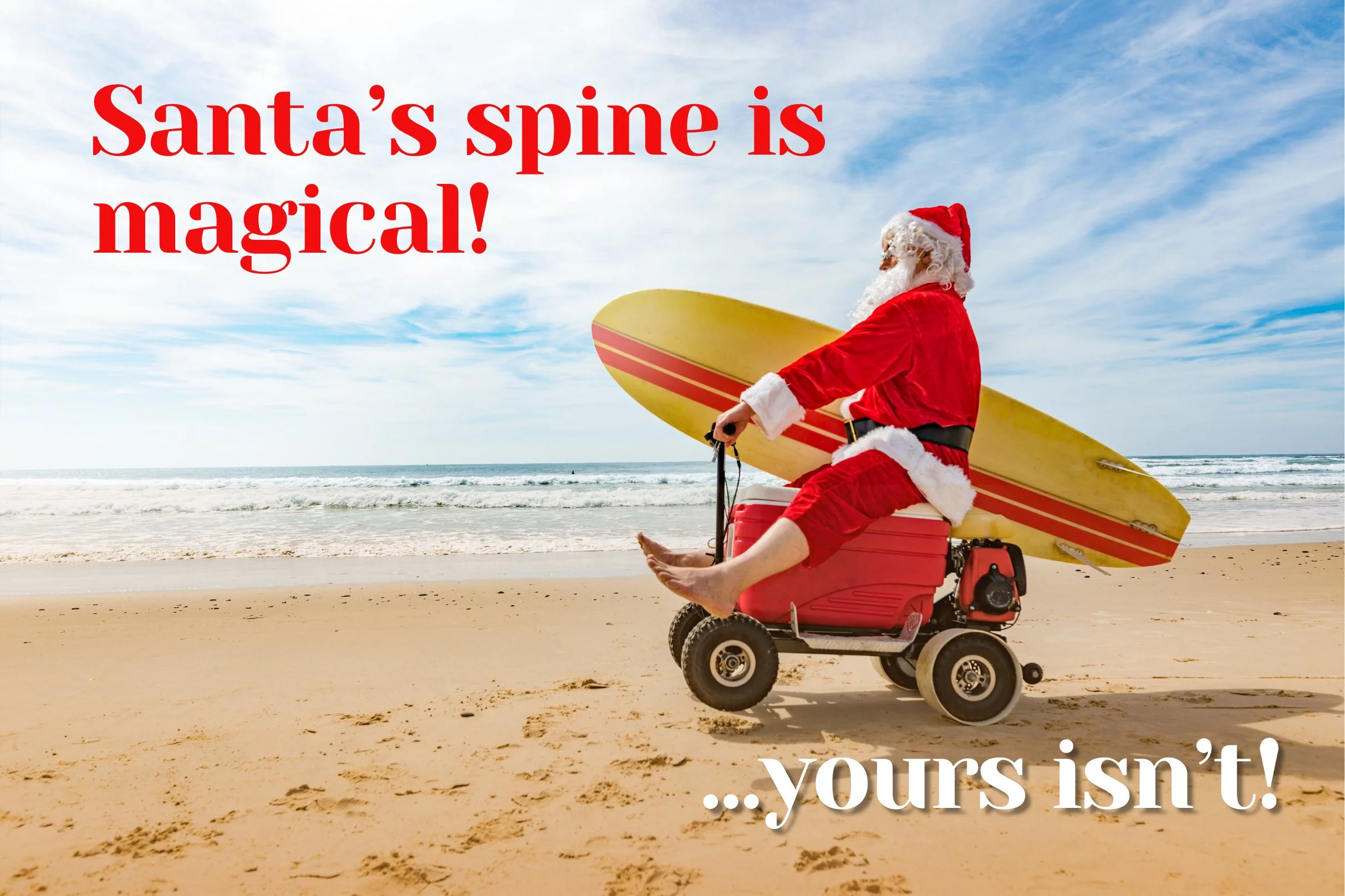 Book your Christmas adjustment!