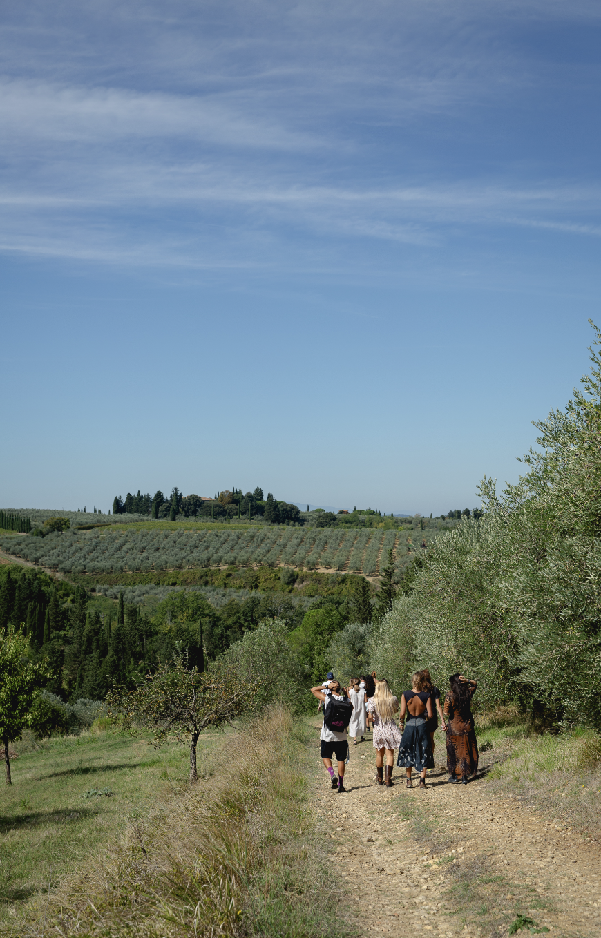 Schermata 2026-03-12 alle 14.27.06.png