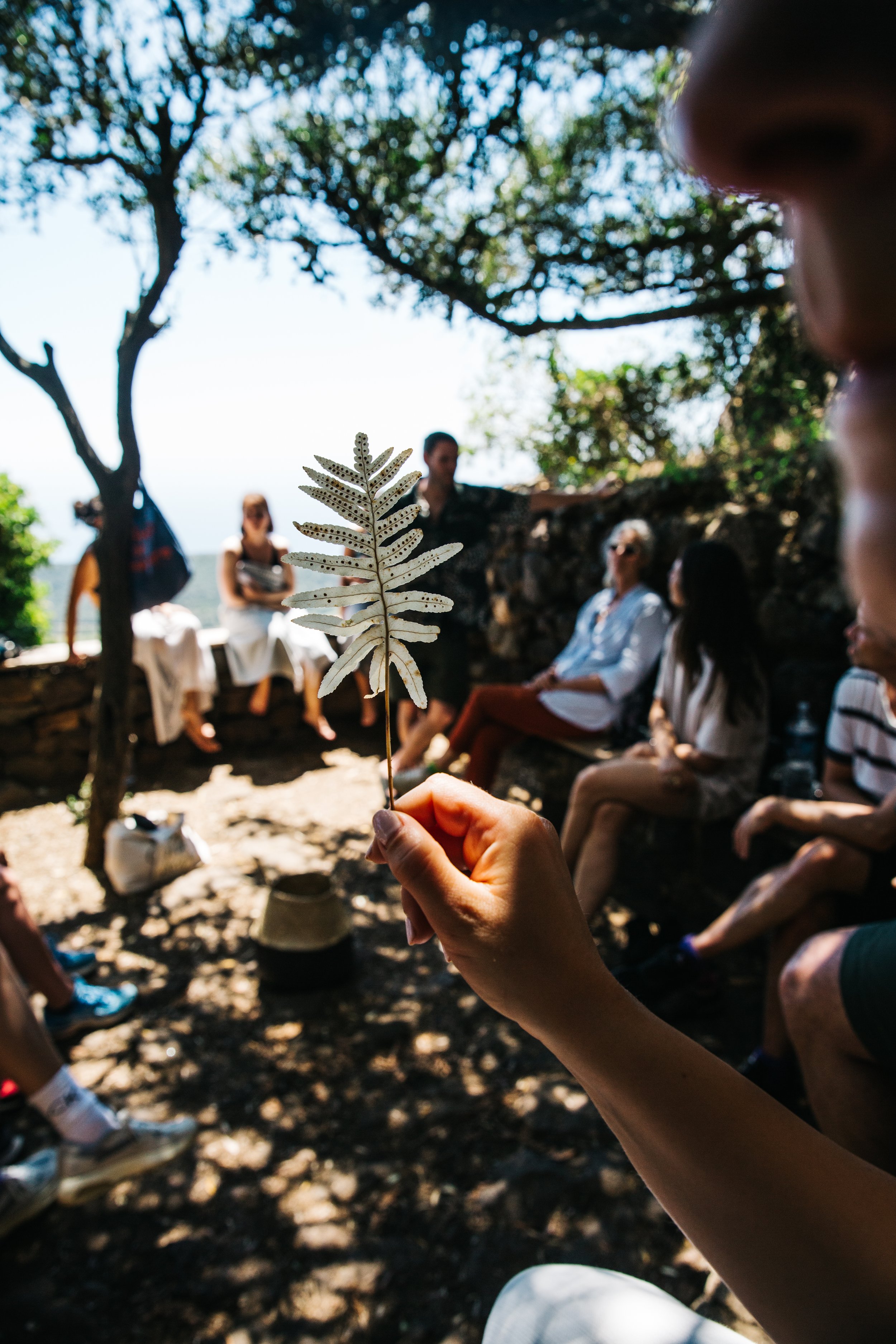 DD_WakingDreams_Pantelleria-Day+4-3.jpeg