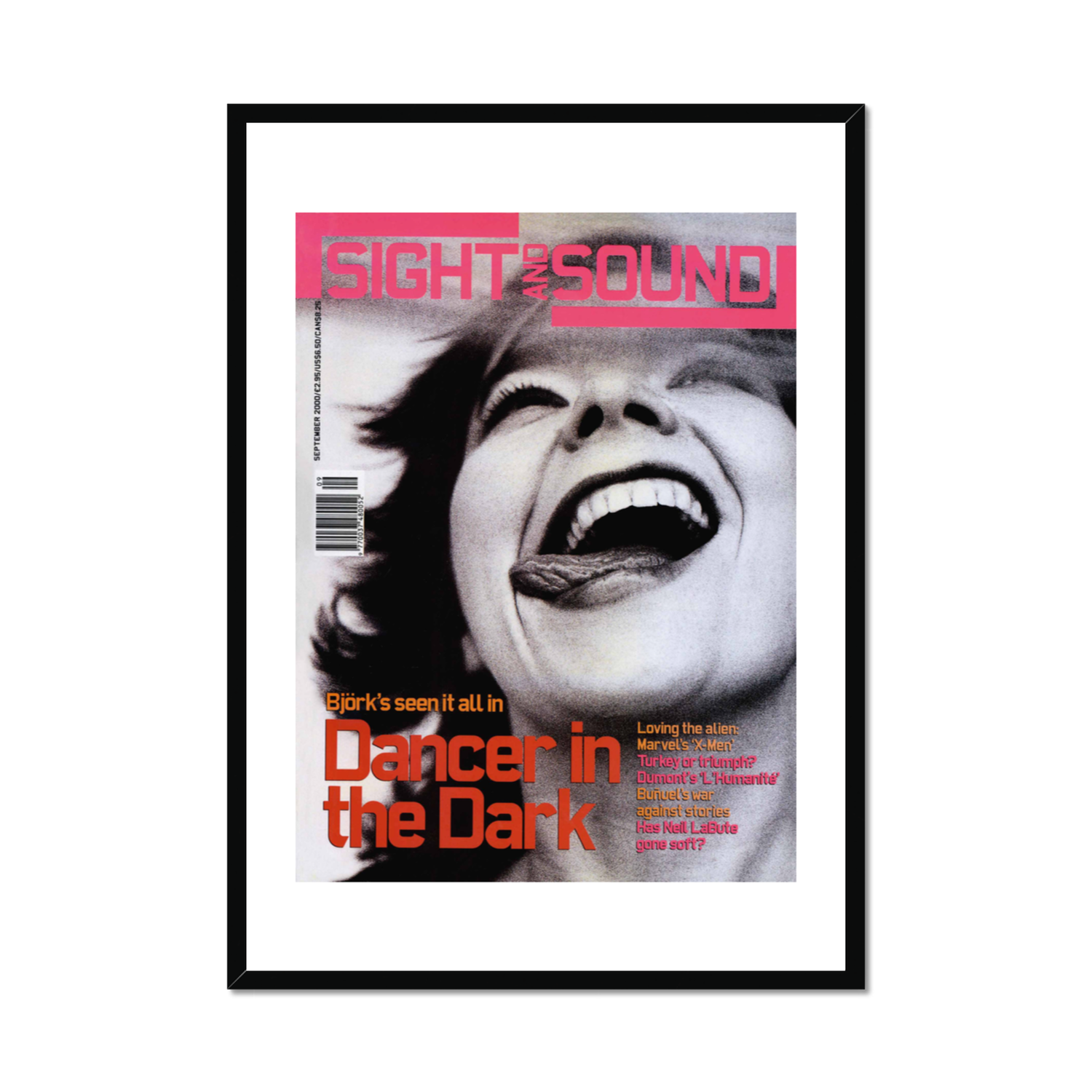 BJÖRK IN DANCER IN THE DARK — Sight and Sound Prints