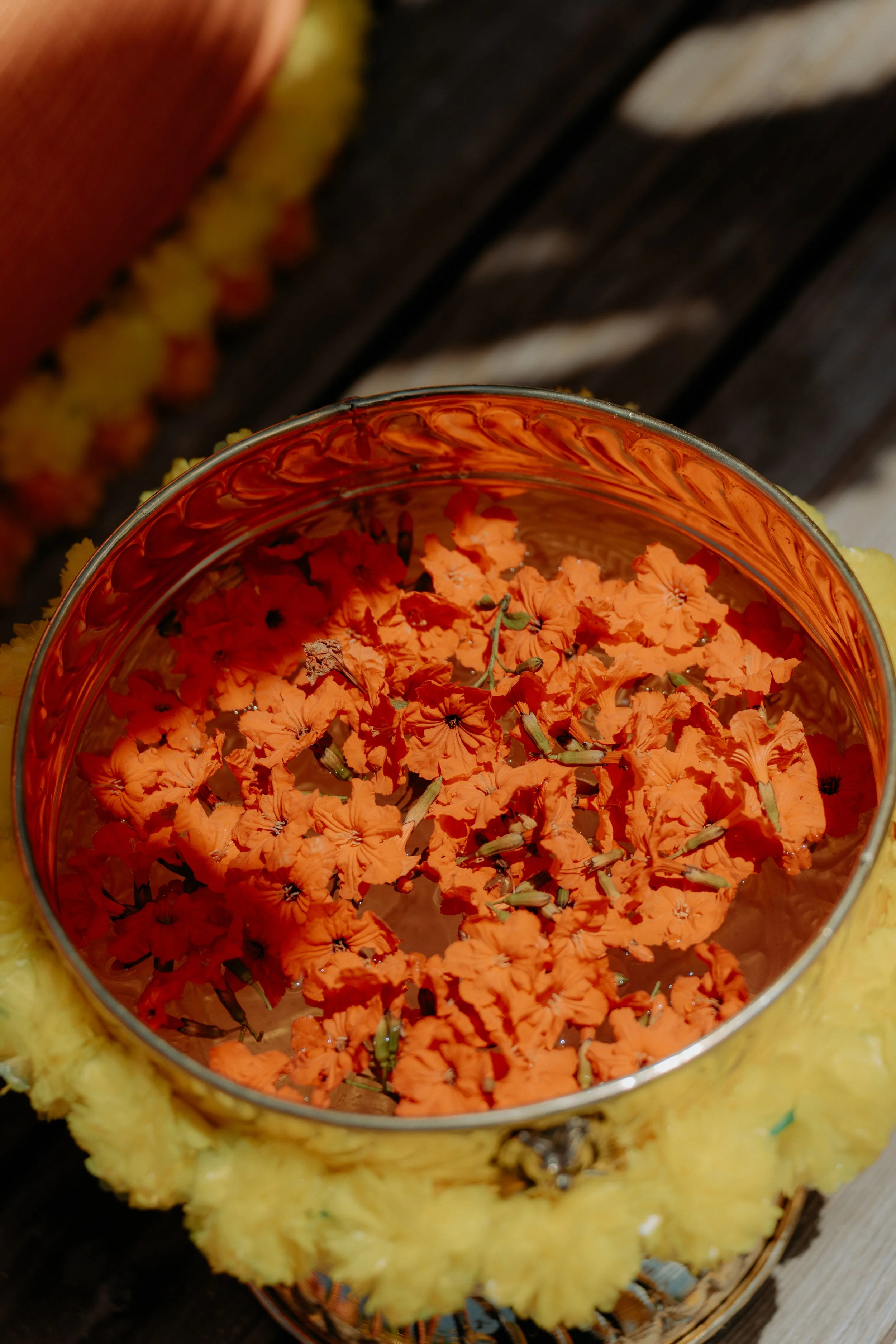 S+N_Sneak Peeks_107.jpg