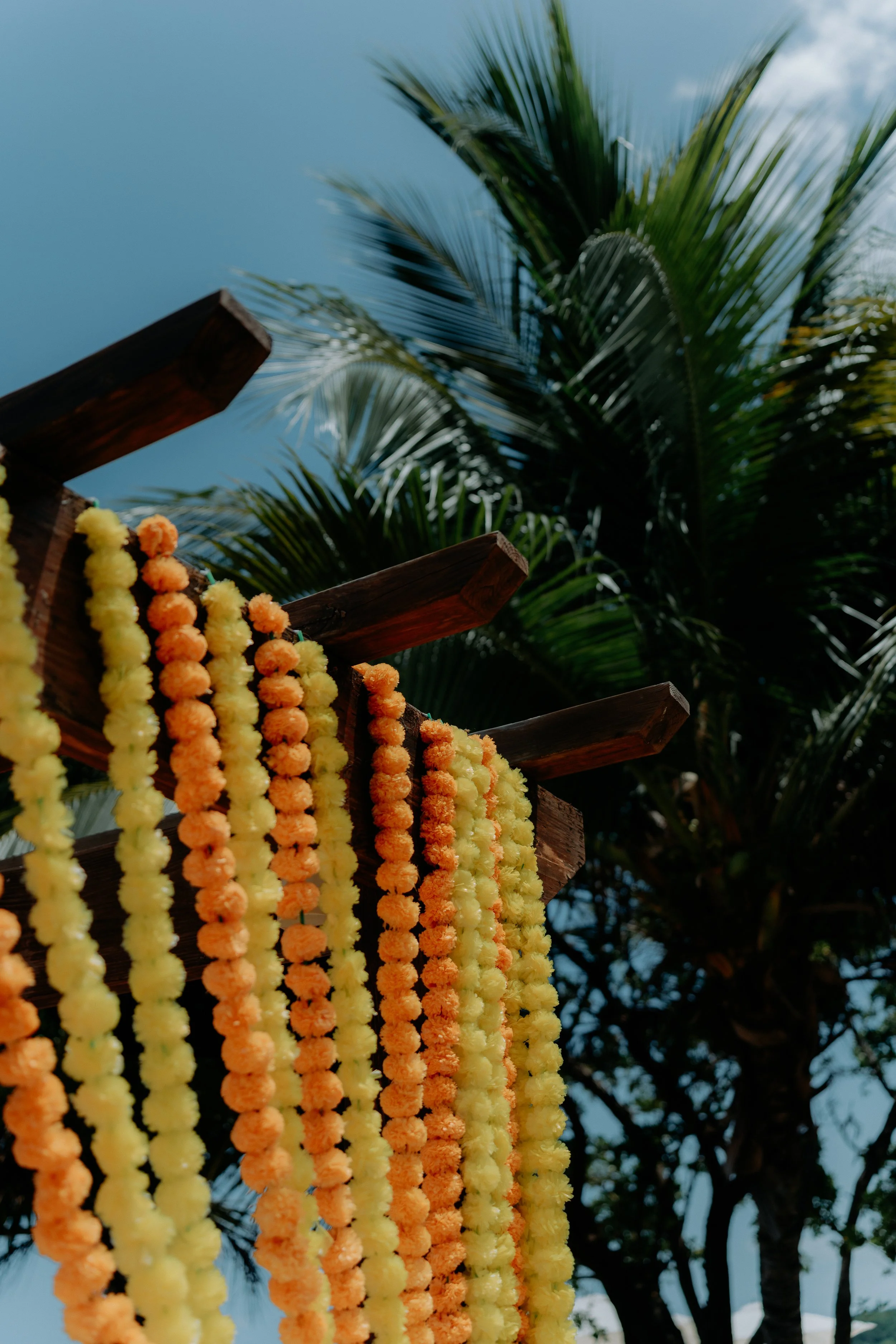 S+N_Sneak Peeks_108.jpg