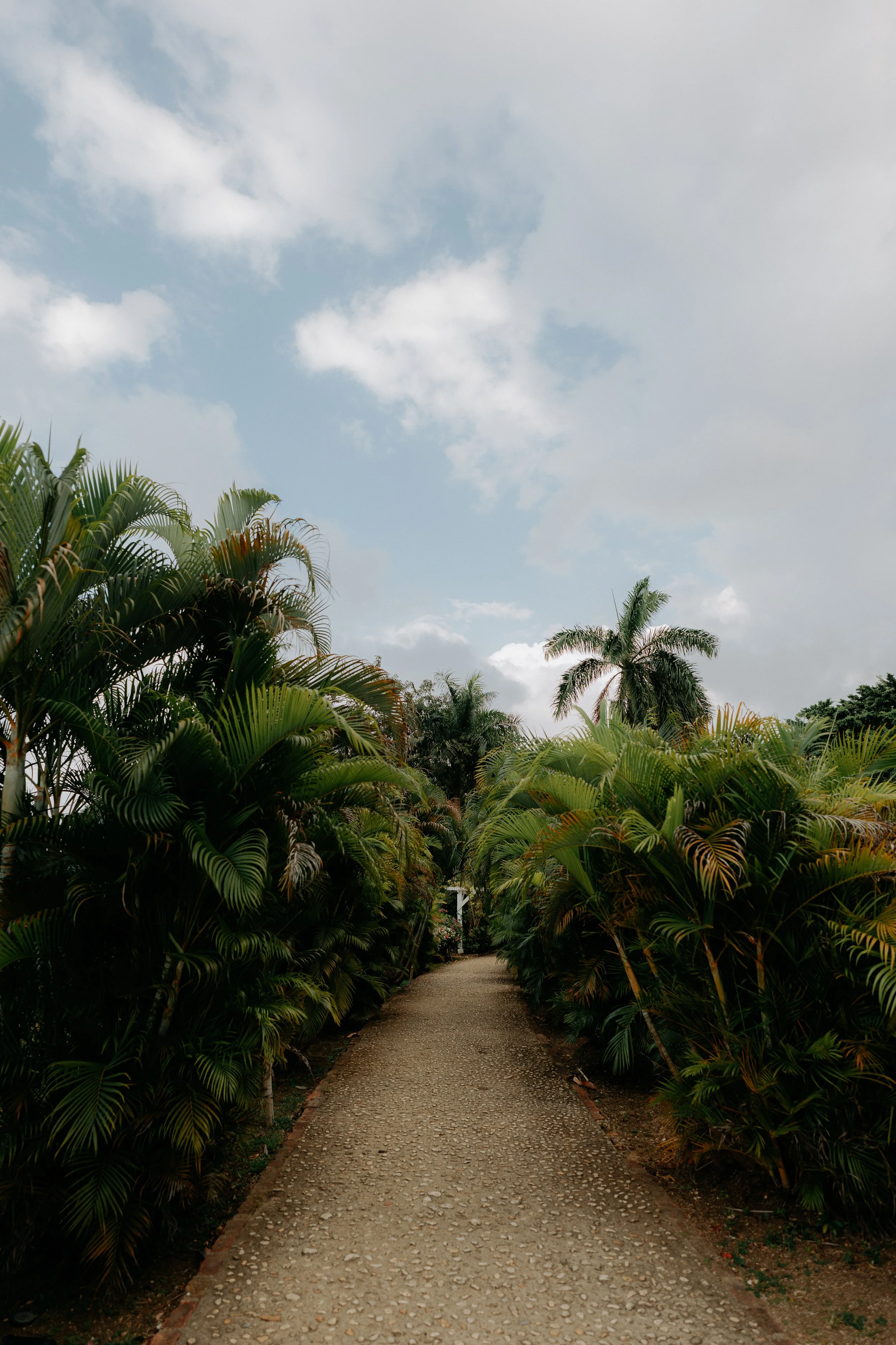 S+N_Sneak Peeks_225.jpg