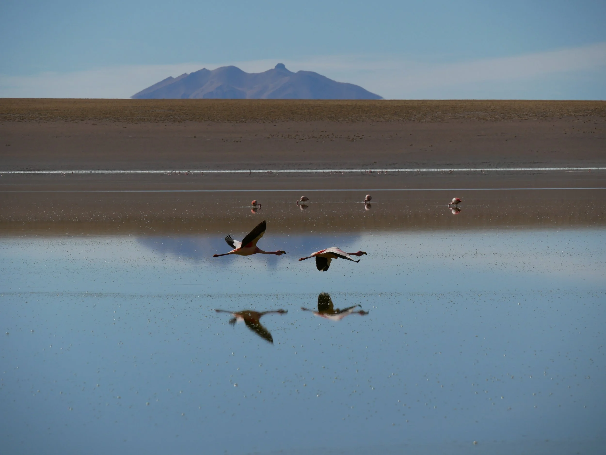 tour du monde en solo.JPG
