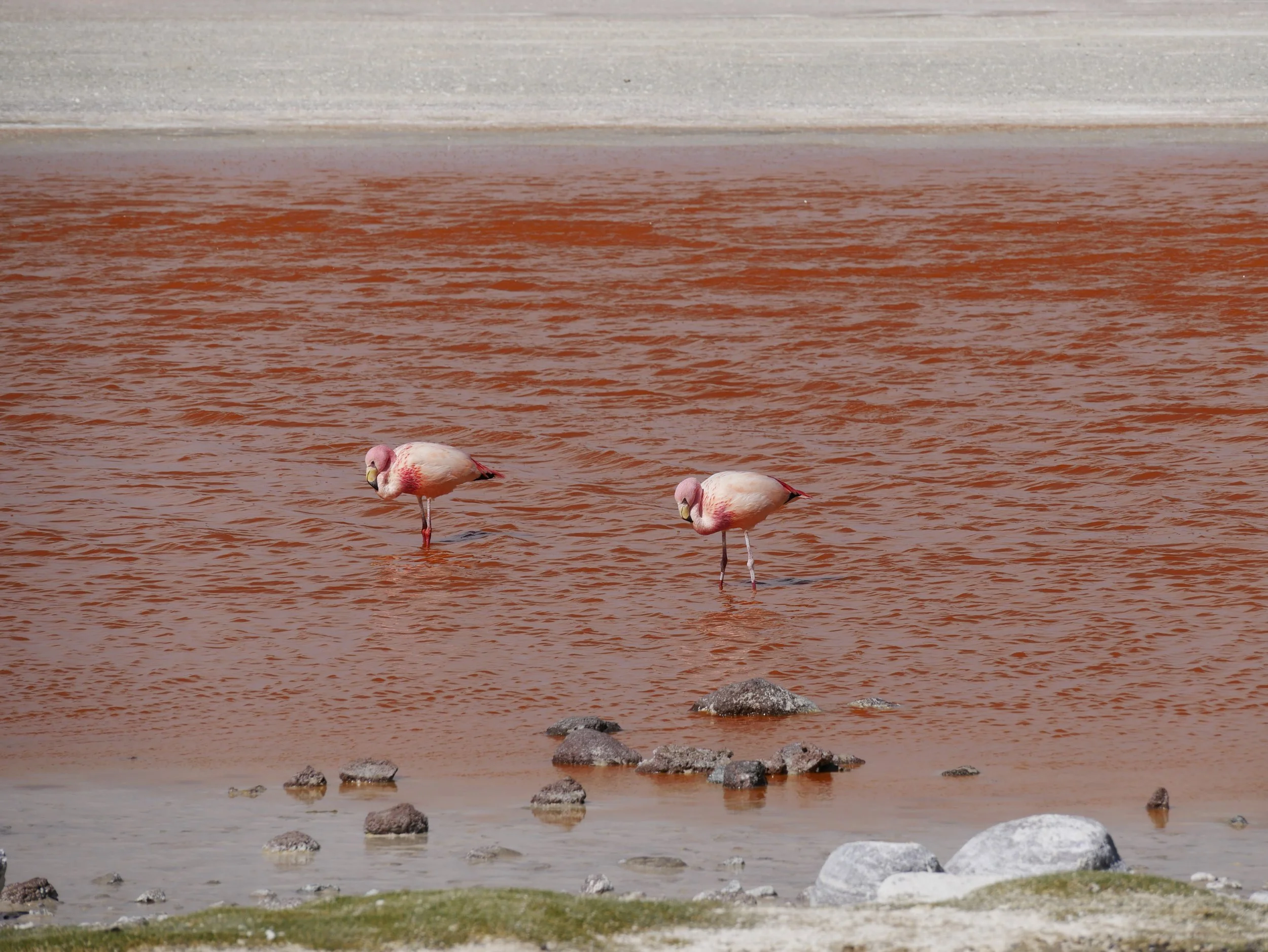 voyageuse femme solo.JPG