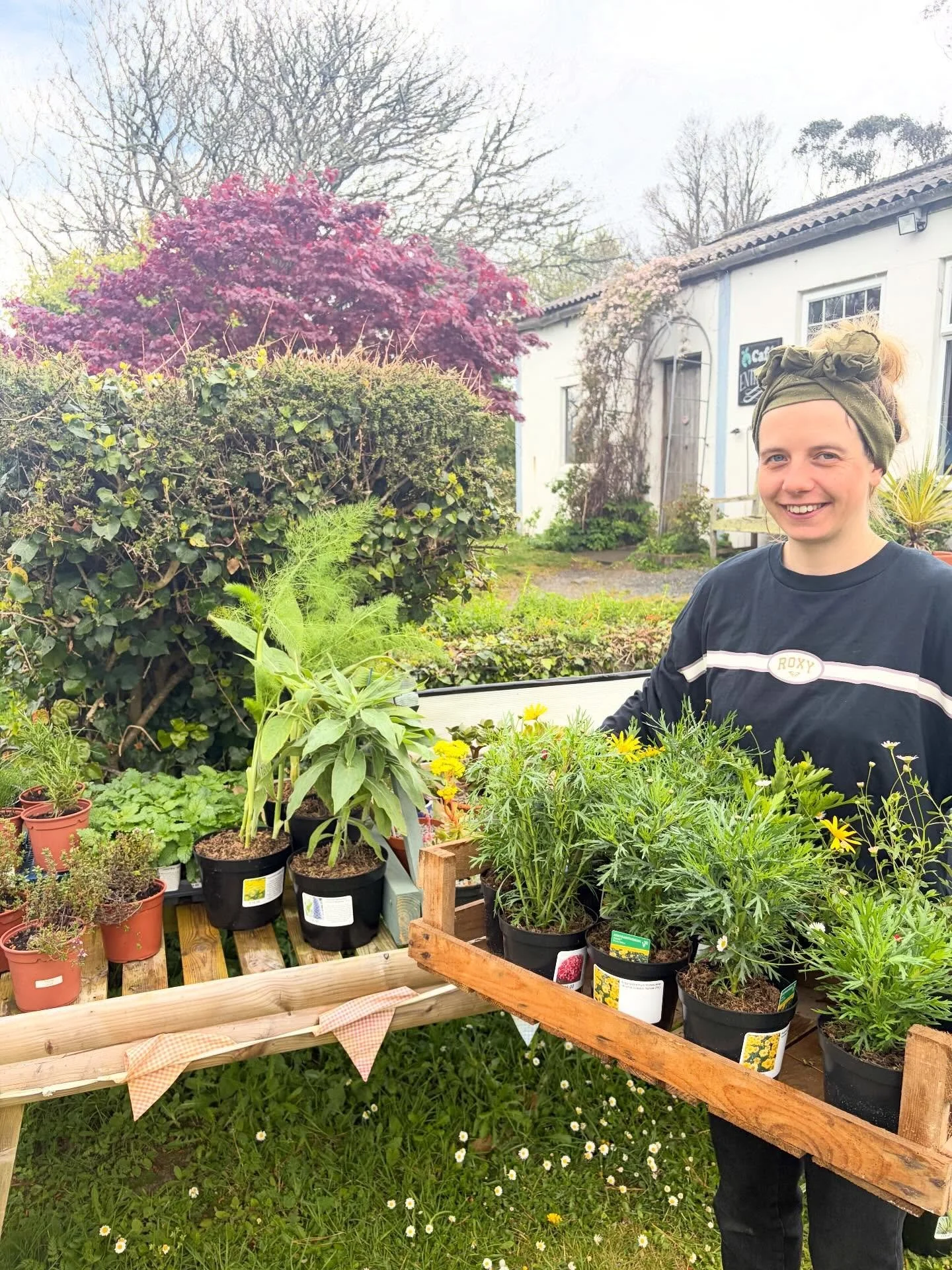 A fantastic week at Fat Apples 🍎 We have stocked up the Fat Apples Plant Stall with succulents, herbs and other lovely Cornish plants 🌱 Found some great time to continue developing our little herb garden! Currently stocked with 8 verity&rsquo;s of 