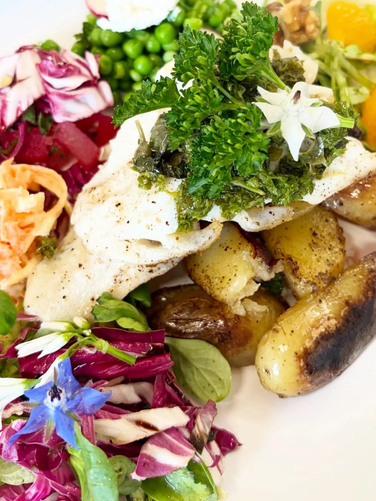 O-Fish-Al photos from some of this week&rsquo;s fresh fish and popular dish&rsquo;s. 

Come and soak up some stunning Cornish rays in the garden with a glass of crisp Ros&egrave;.

Open Wednesday-Sunday 9:30-4