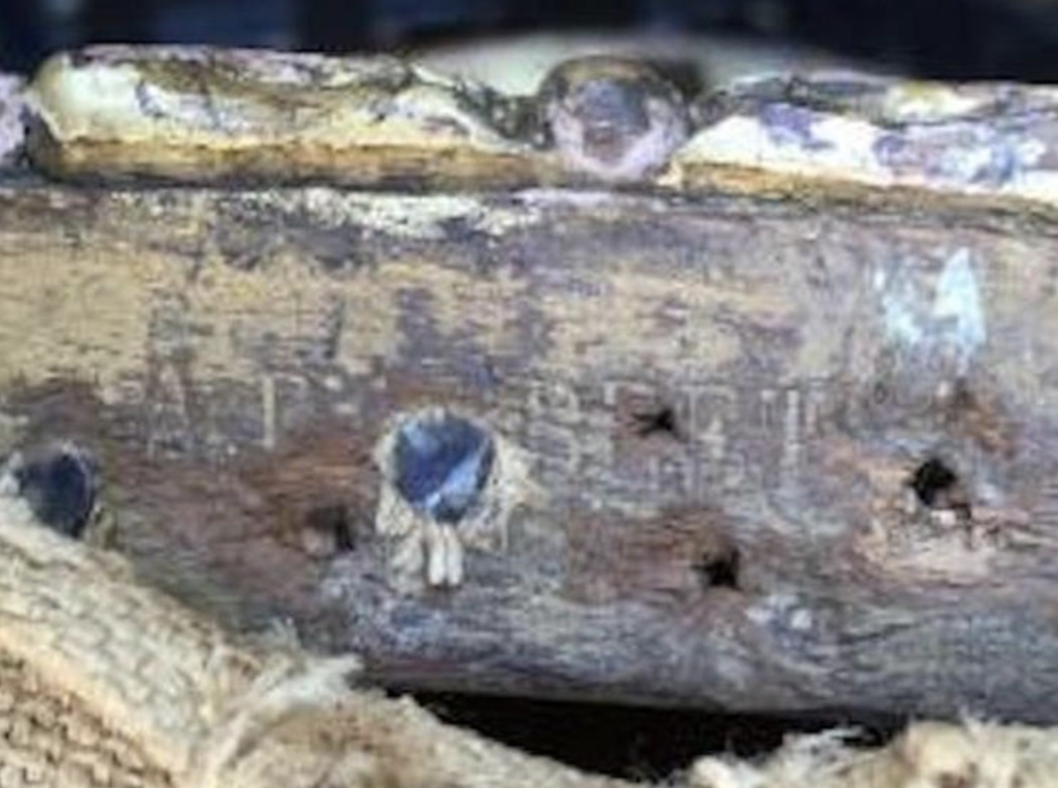 Screenshot 2026-04-07 at 1.27.02 PM.png