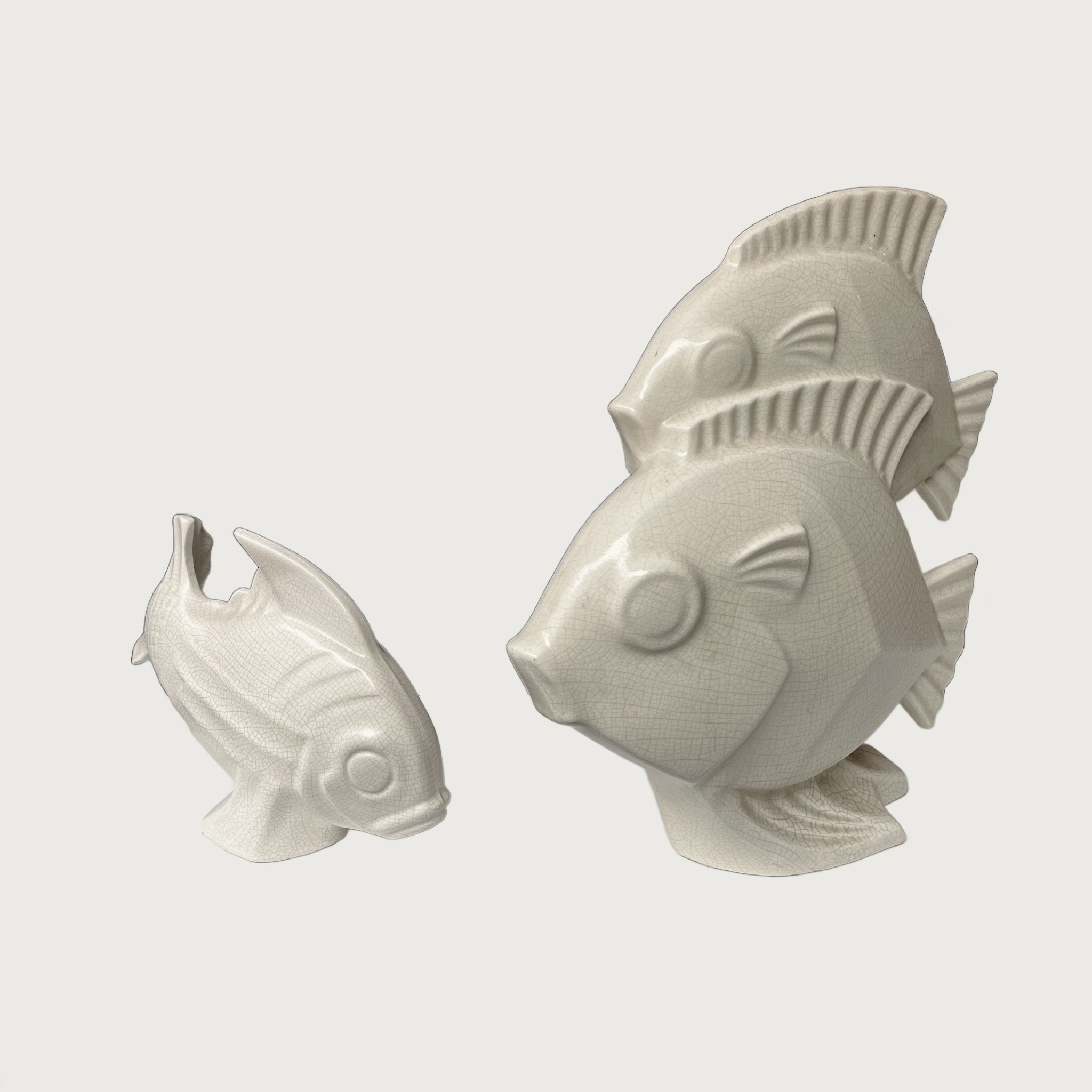 Fish15_inPixio.jpeg