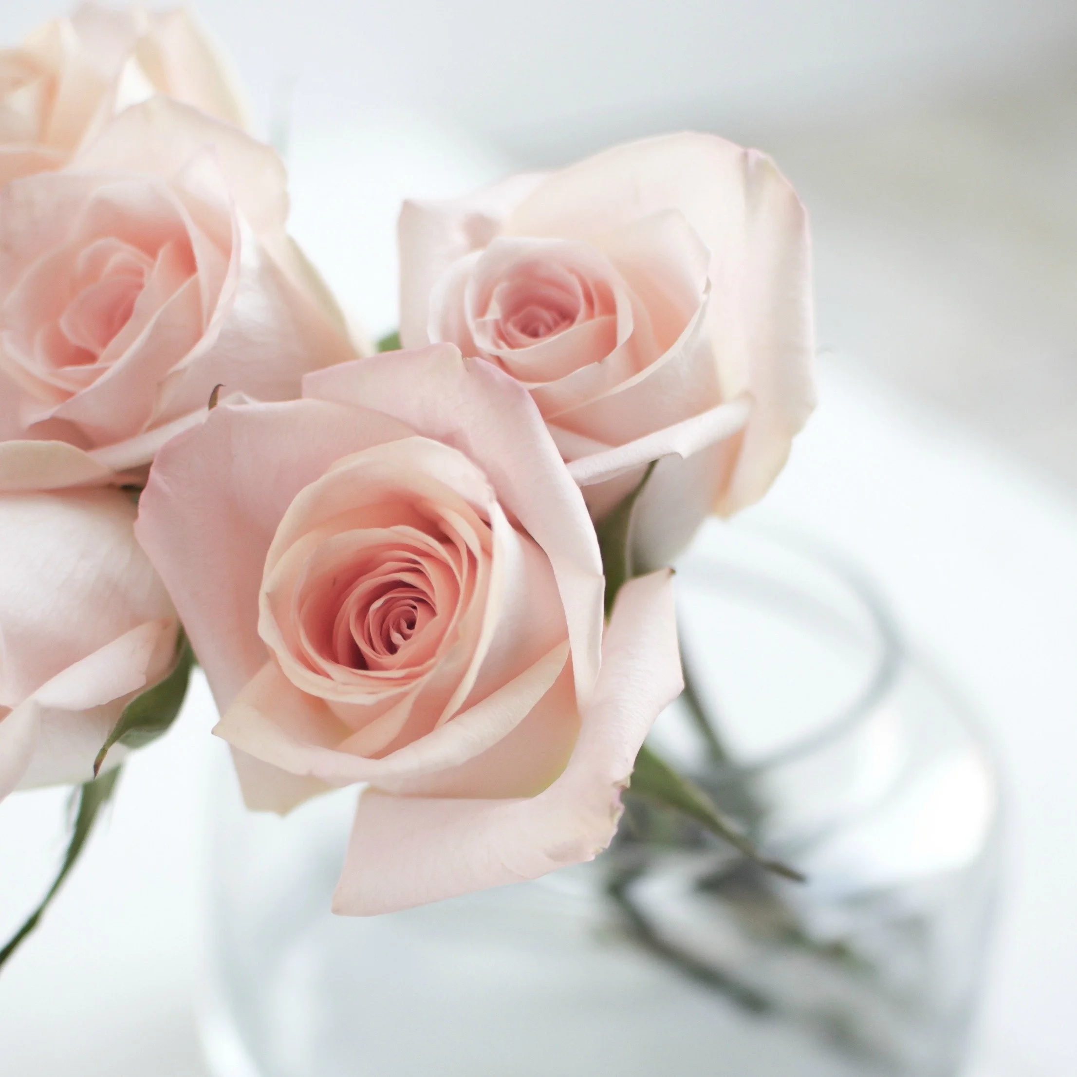 DON'T SAVE YOUR COURAGE FOR A CRISIS