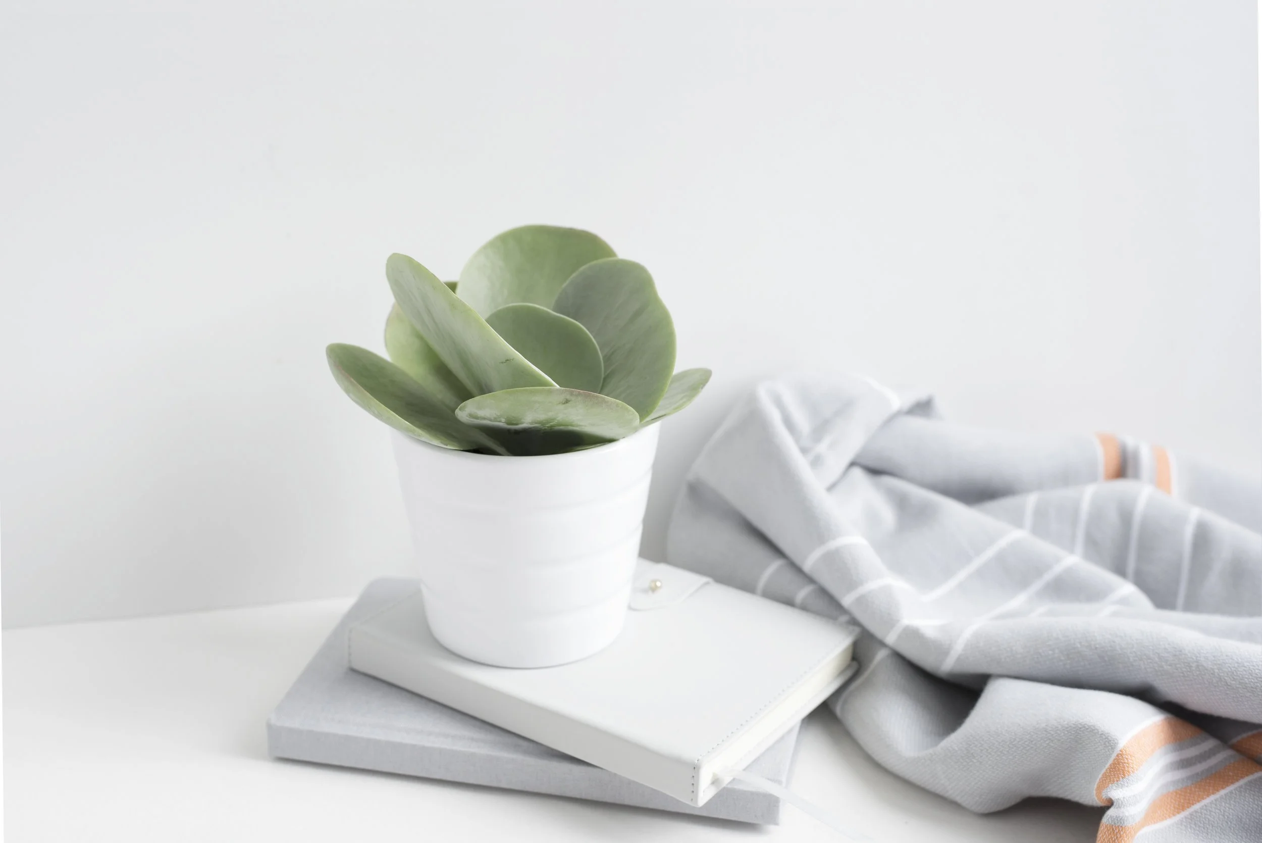 ENERGY WORK IS THE NEXT FRONTIER 