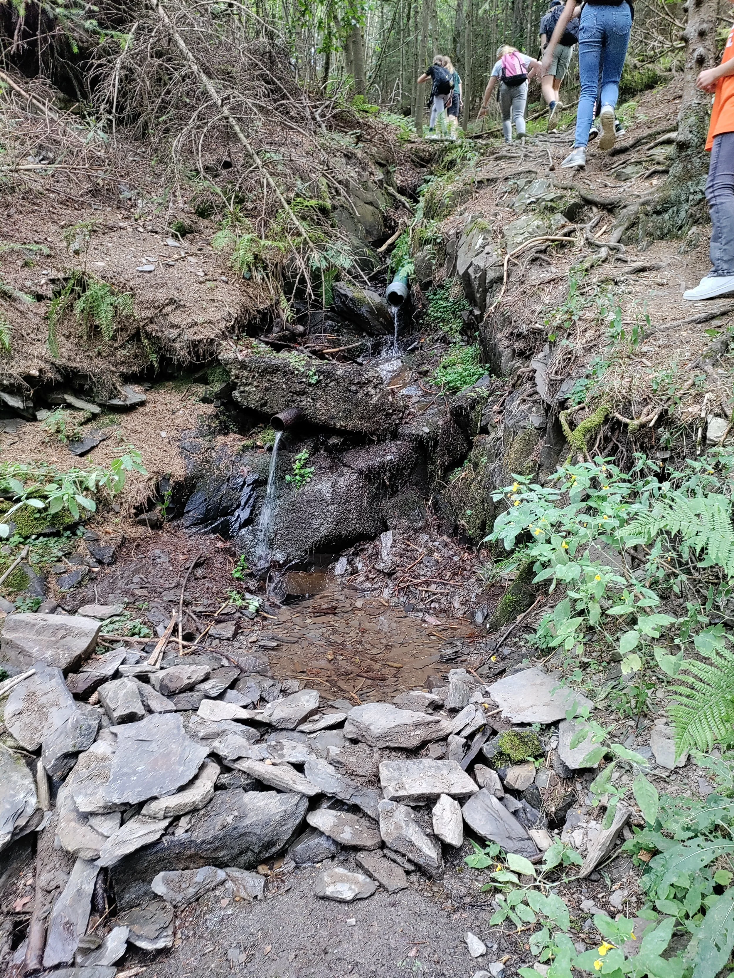 IMG_20220817_103458.jpg