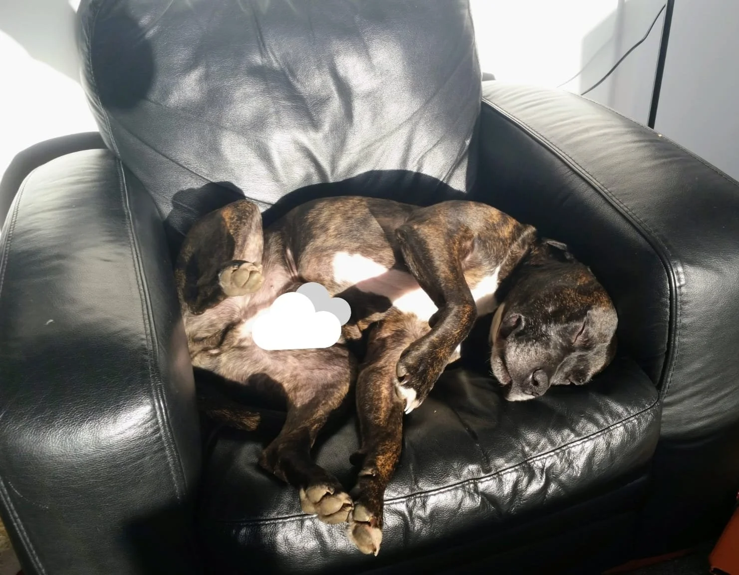 WhatsApp Image 2026-02-13 at 11.53.42.jpeg