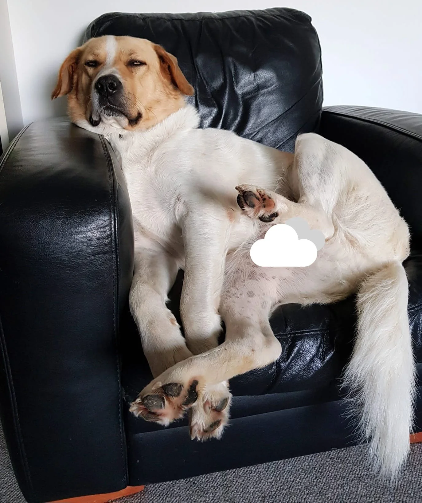 WhatsApp Image 2026-02-13 at 11.53.55.jpeg