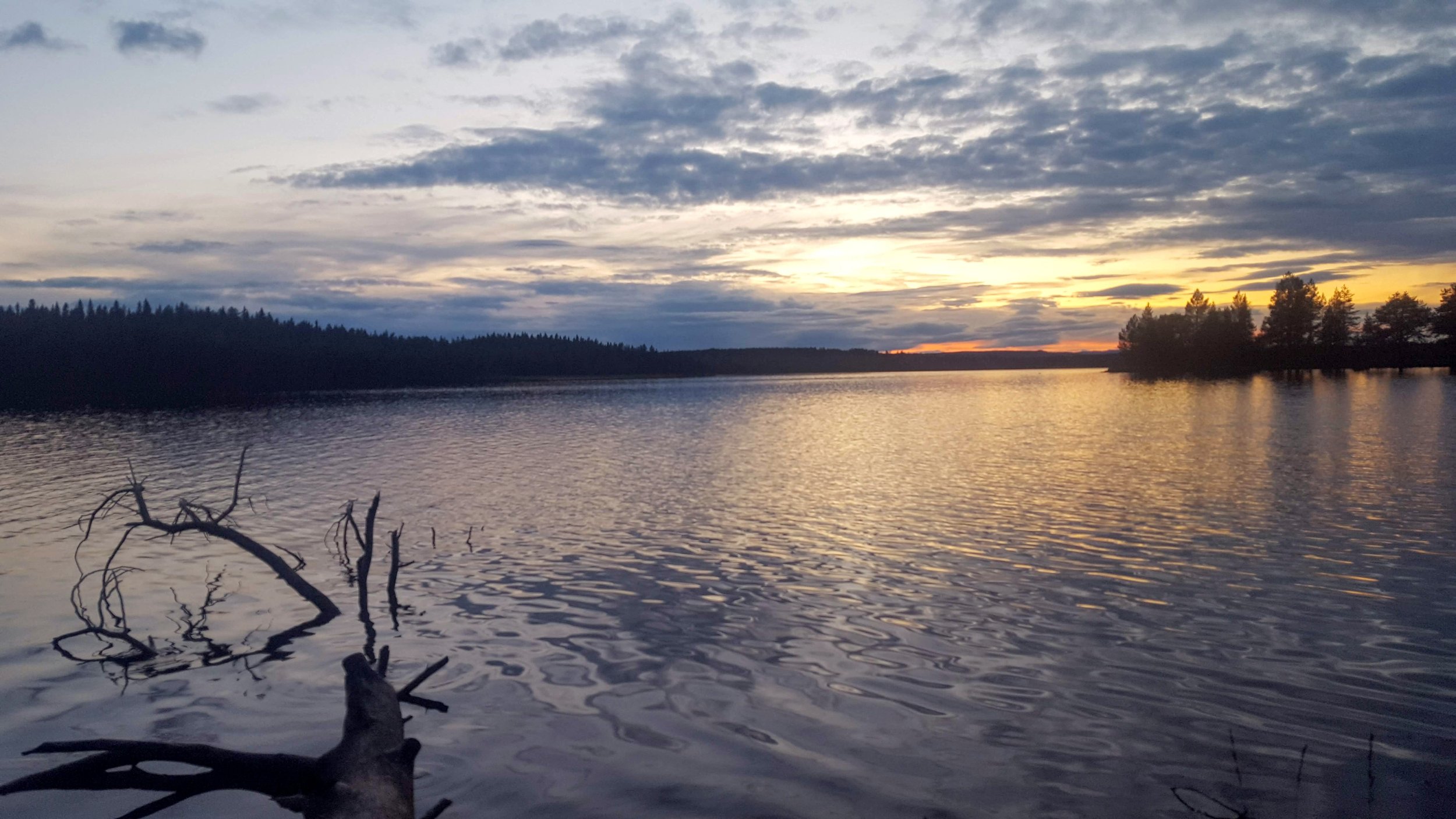 A peaceful lake at sunset with a cloudy sky and silhouettes of trees on the horizon. Reflections of the sky are visible on the water, and a fallen tree branch is in the foreground.